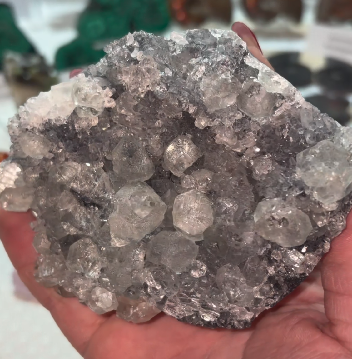 Fluorite and Quartz on Black Chalcedony