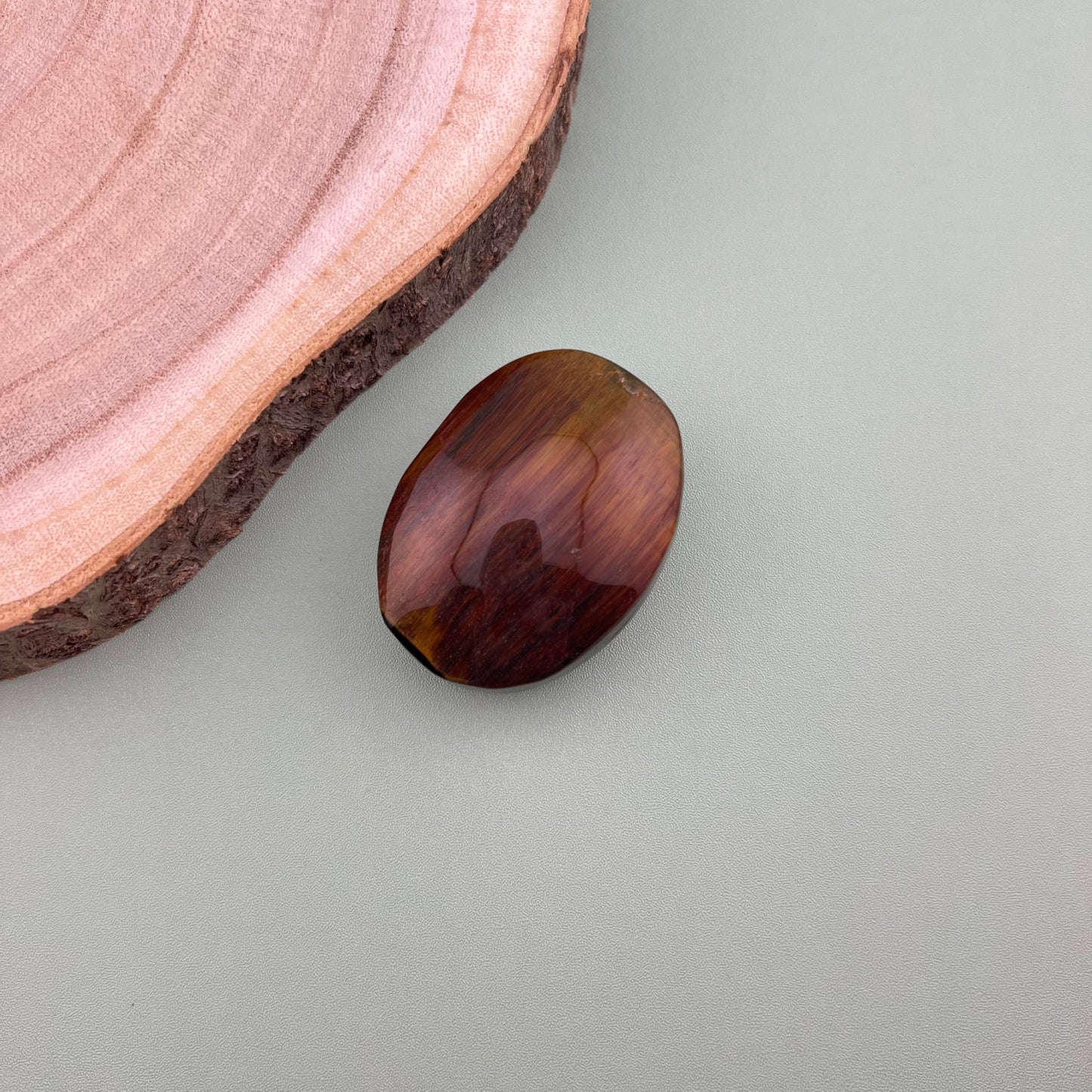 Tigers Eye Palm