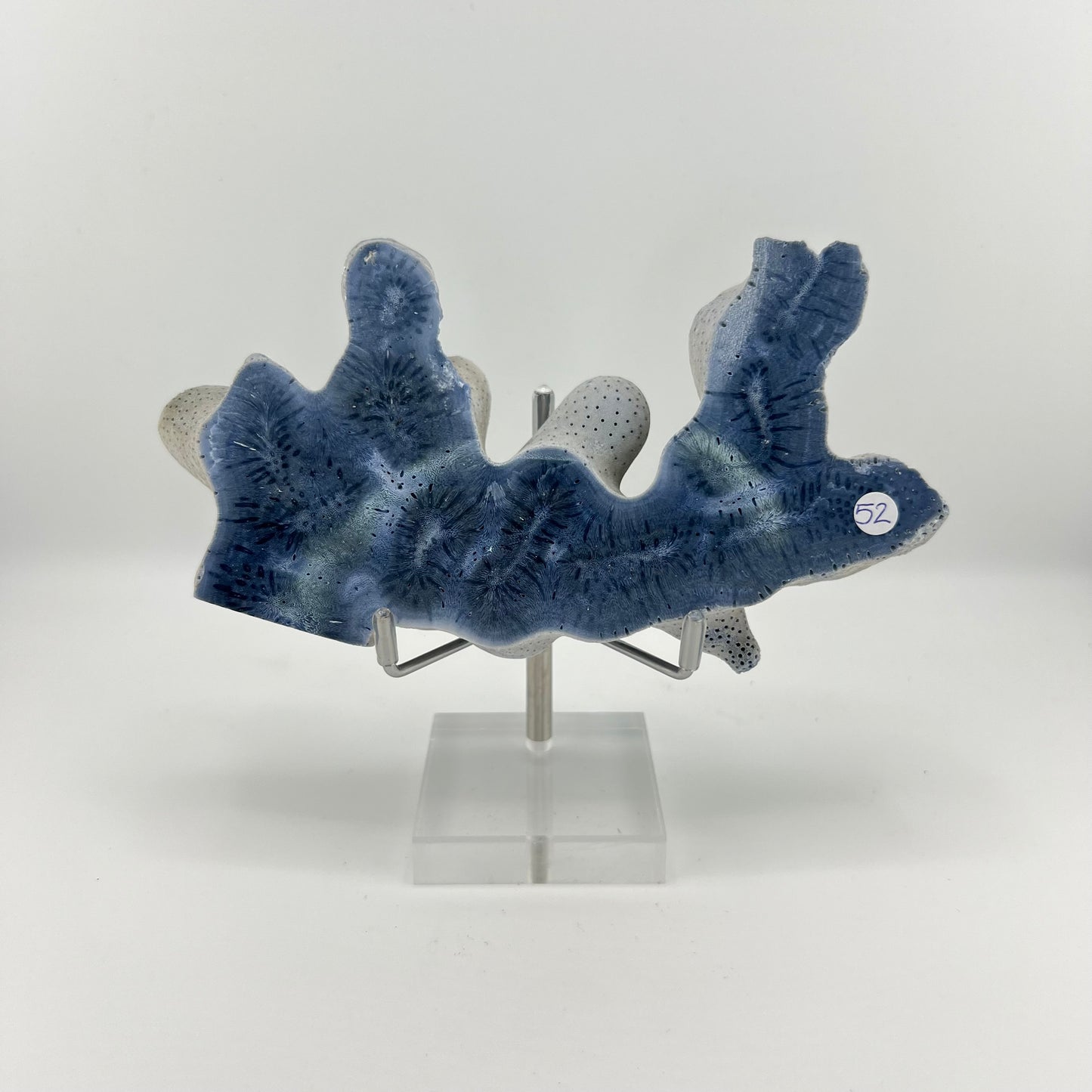 Blue Coral Slabs