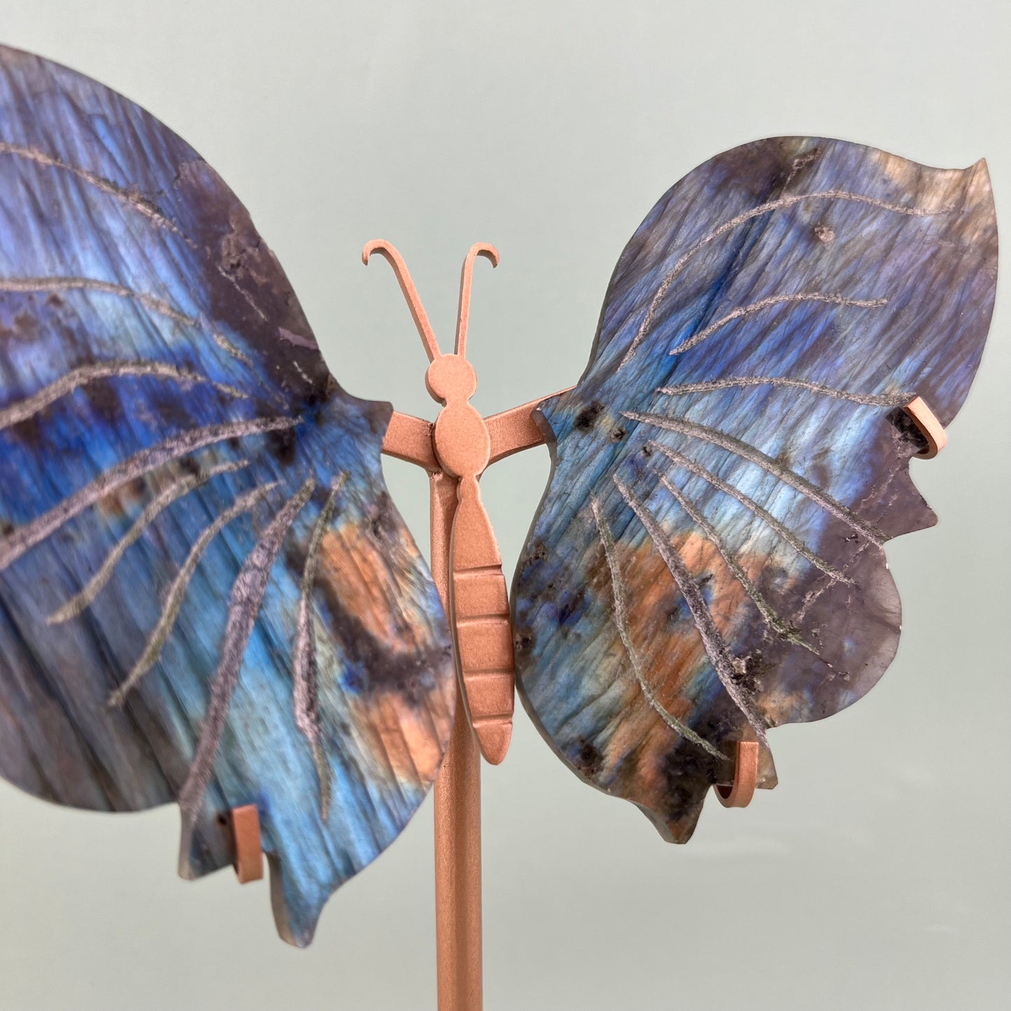 Labradorite Butterfly Wings B