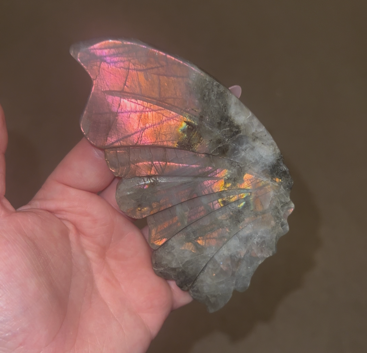 Labradorite Butterfly Wings A