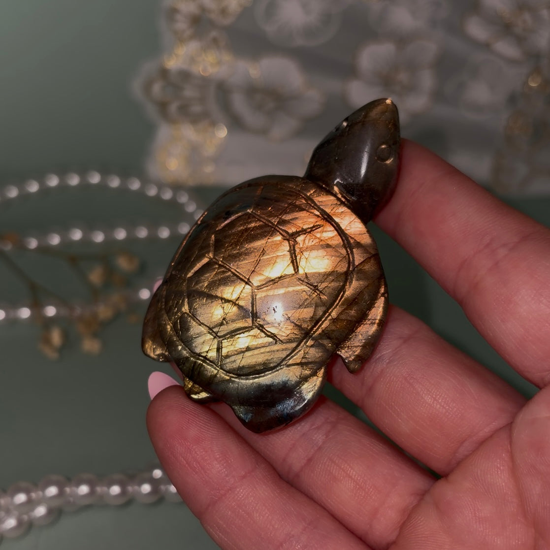 Labradorite Turtle C