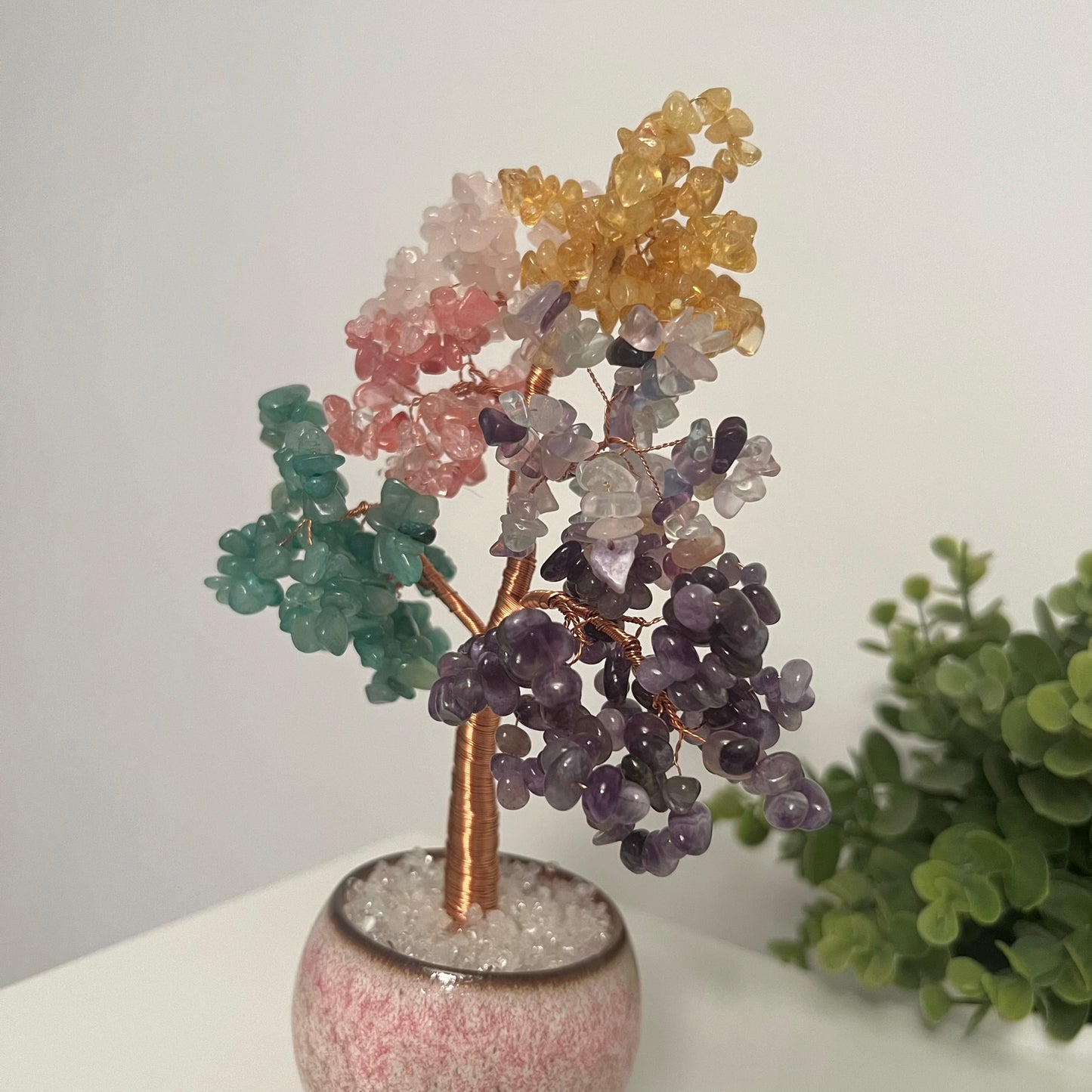 Large Money Tree