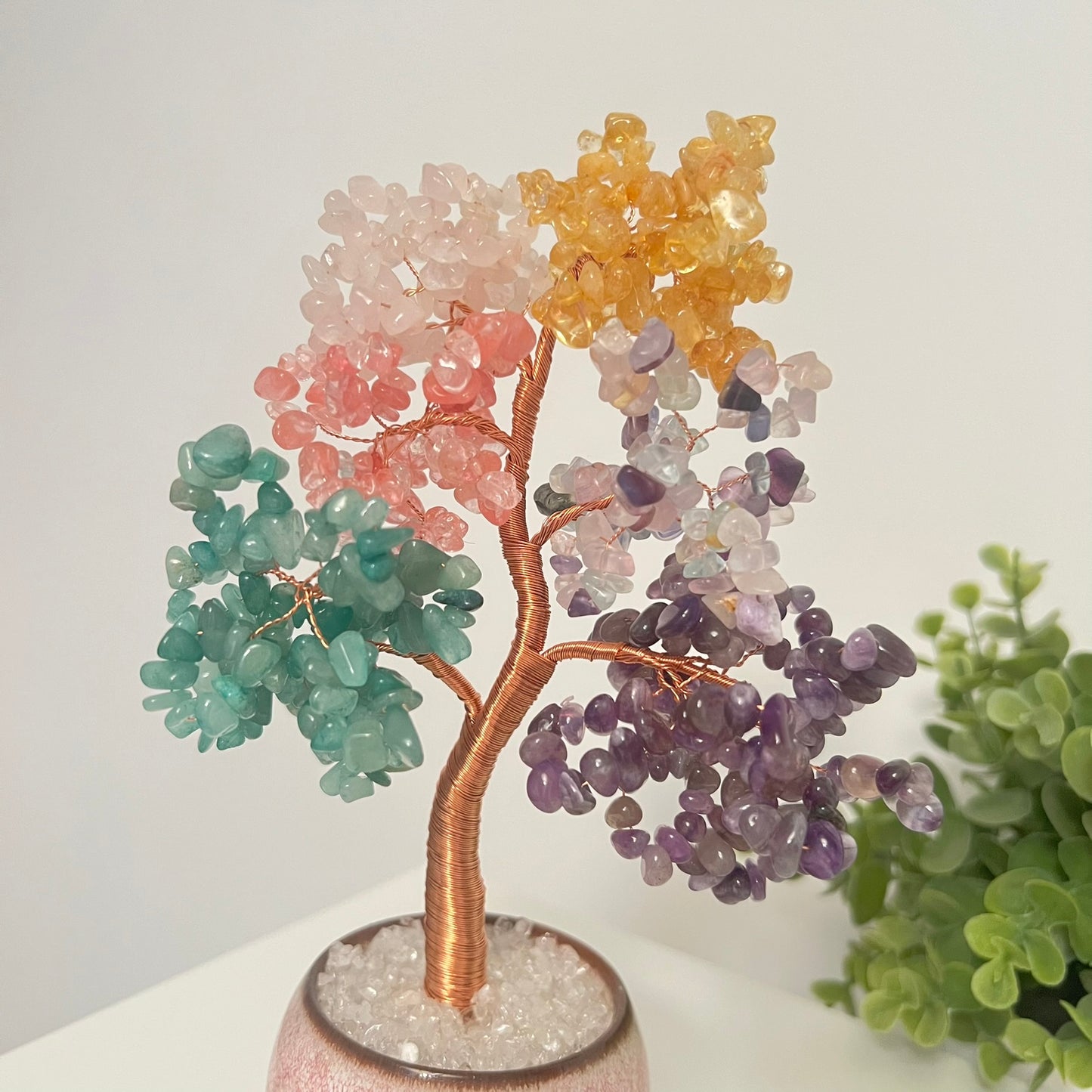 Large Money Tree