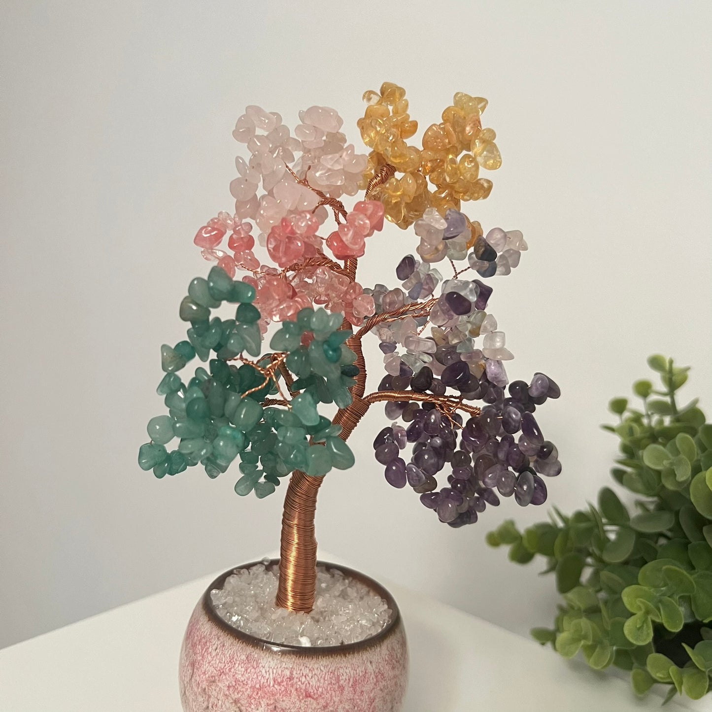 Large Money Tree