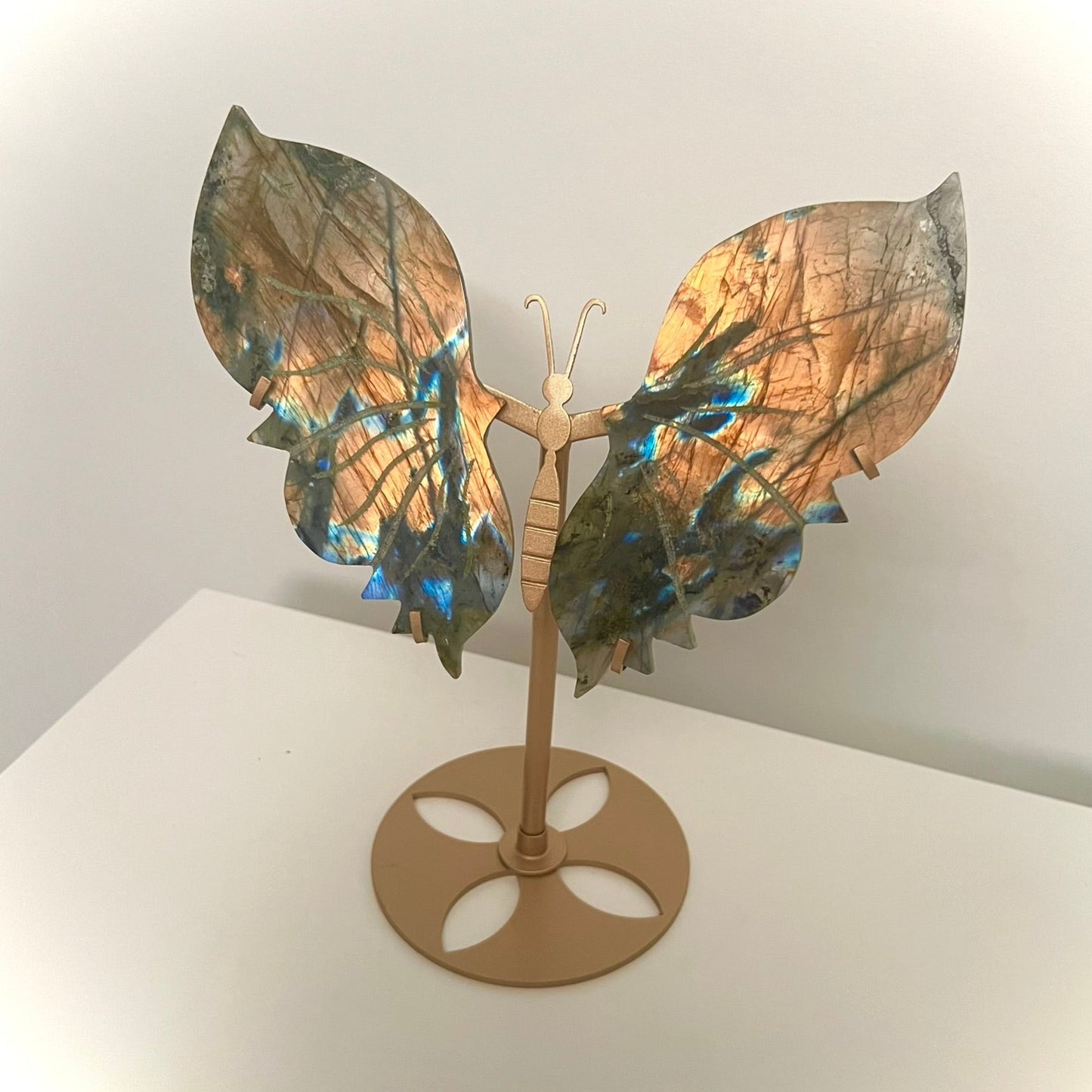 Large Labradorite Butterfly Wings