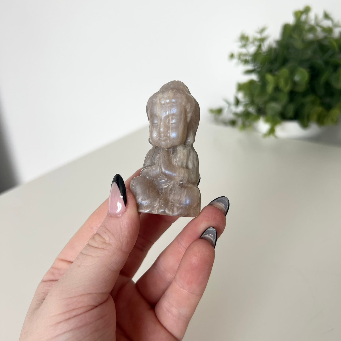 Various Moonstone Carvings | Buddha | Panda | Wolf | PureZen Minerals | Crystal Animal Carvings | Spiritual Healing | Decorative Ornament