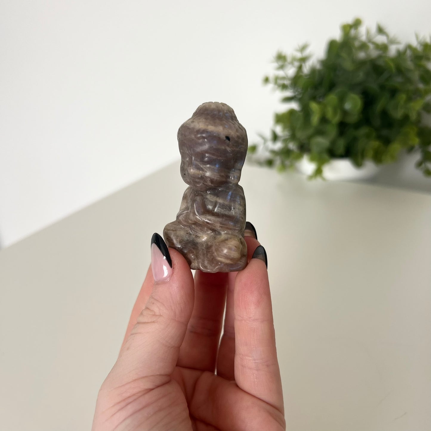 Various Moonstone Carvings | Buddha | Panda | Wolf | PureZen Minerals | Crystal Animal Carvings | Spiritual Healing | Decorative Ornament