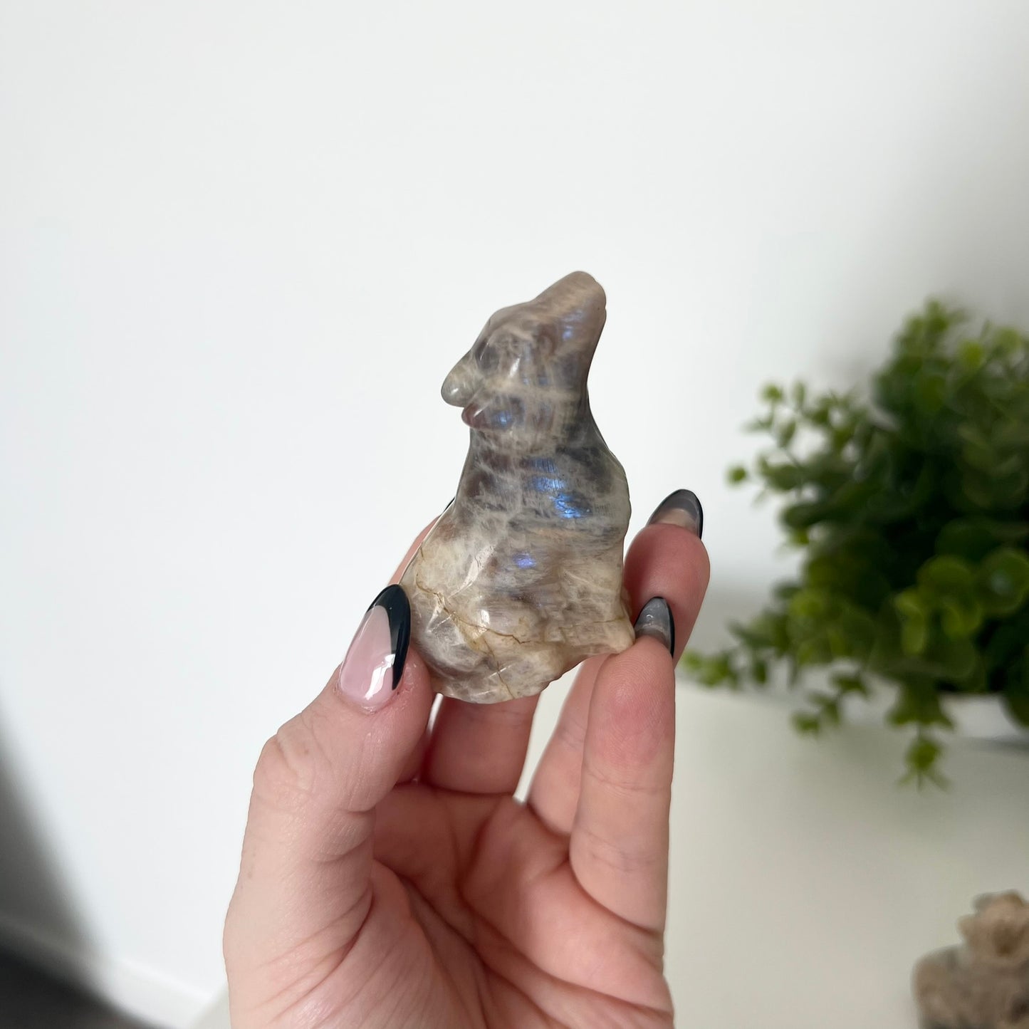 Various Moonstone Carvings | Buddha | Panda | Wolf | PureZen Minerals | Crystal Animal Carvings | Spiritual Healing | Decorative Ornament