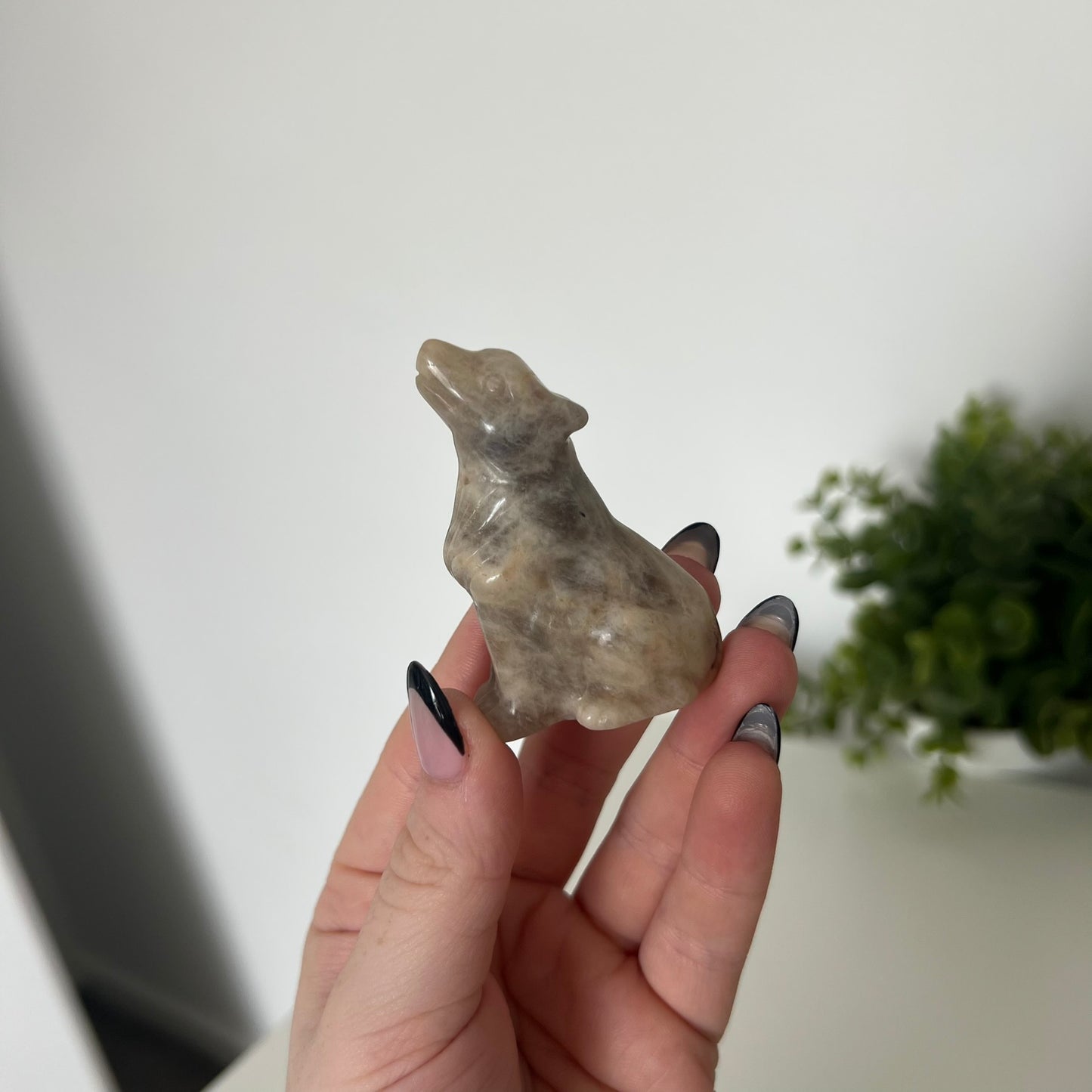 Various Moonstone Carvings | Buddha | Panda | Wolf | PureZen Minerals | Crystal Animal Carvings | Spiritual Healing | Decorative Ornament