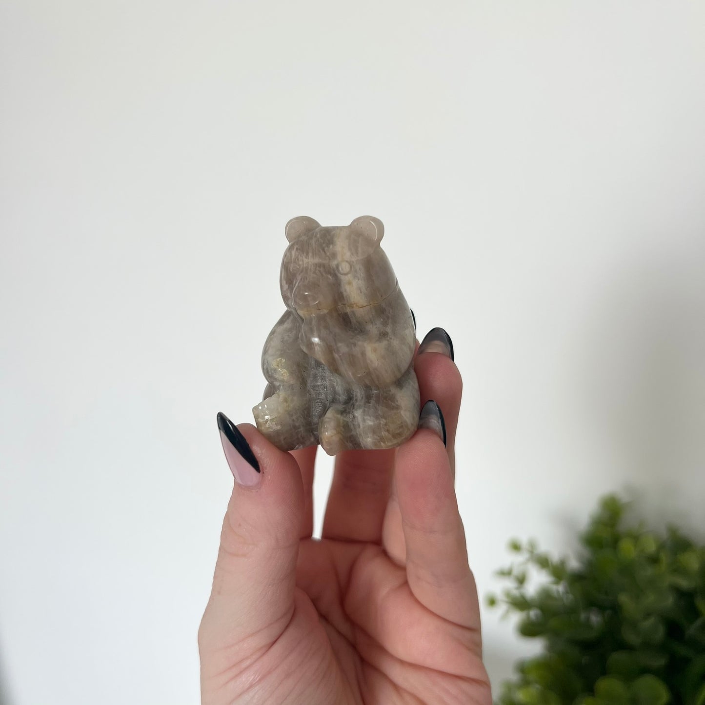 Various Moonstone Carvings | Buddha | Panda | Wolf | PureZen Minerals | Crystal Animal Carvings | Spiritual Healing | Decorative Ornament
