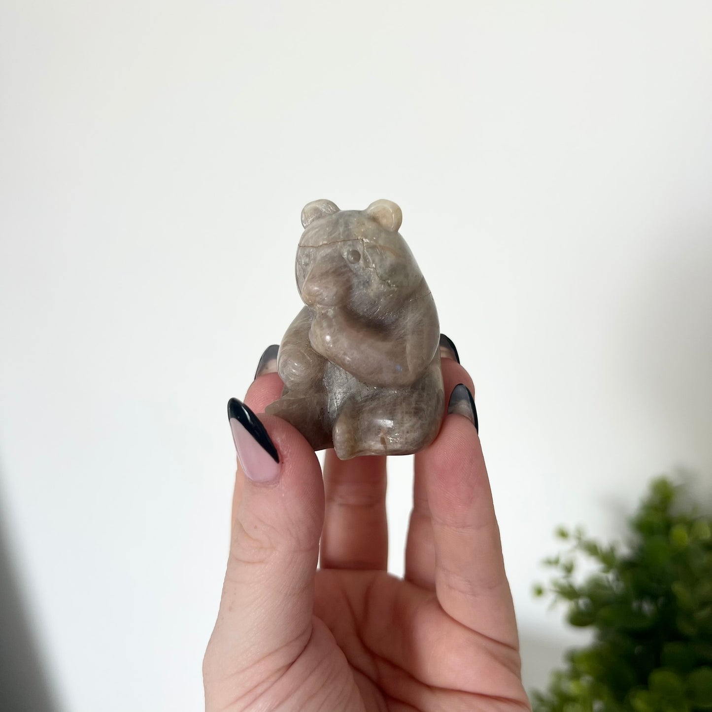 Various Moonstone Carvings | Buddha | Panda | Wolf | PureZen Minerals | Crystal Animal Carvings | Spiritual Healing | Decorative Ornament