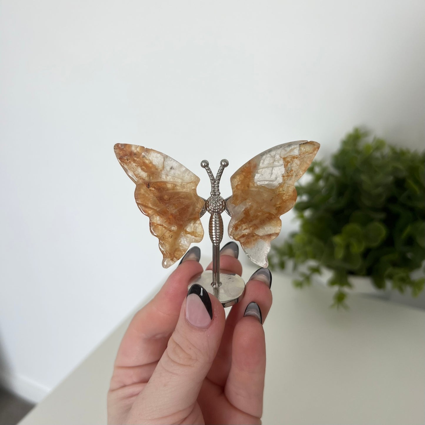 Various Crystal Butterfly Wings | Small Size Wings
