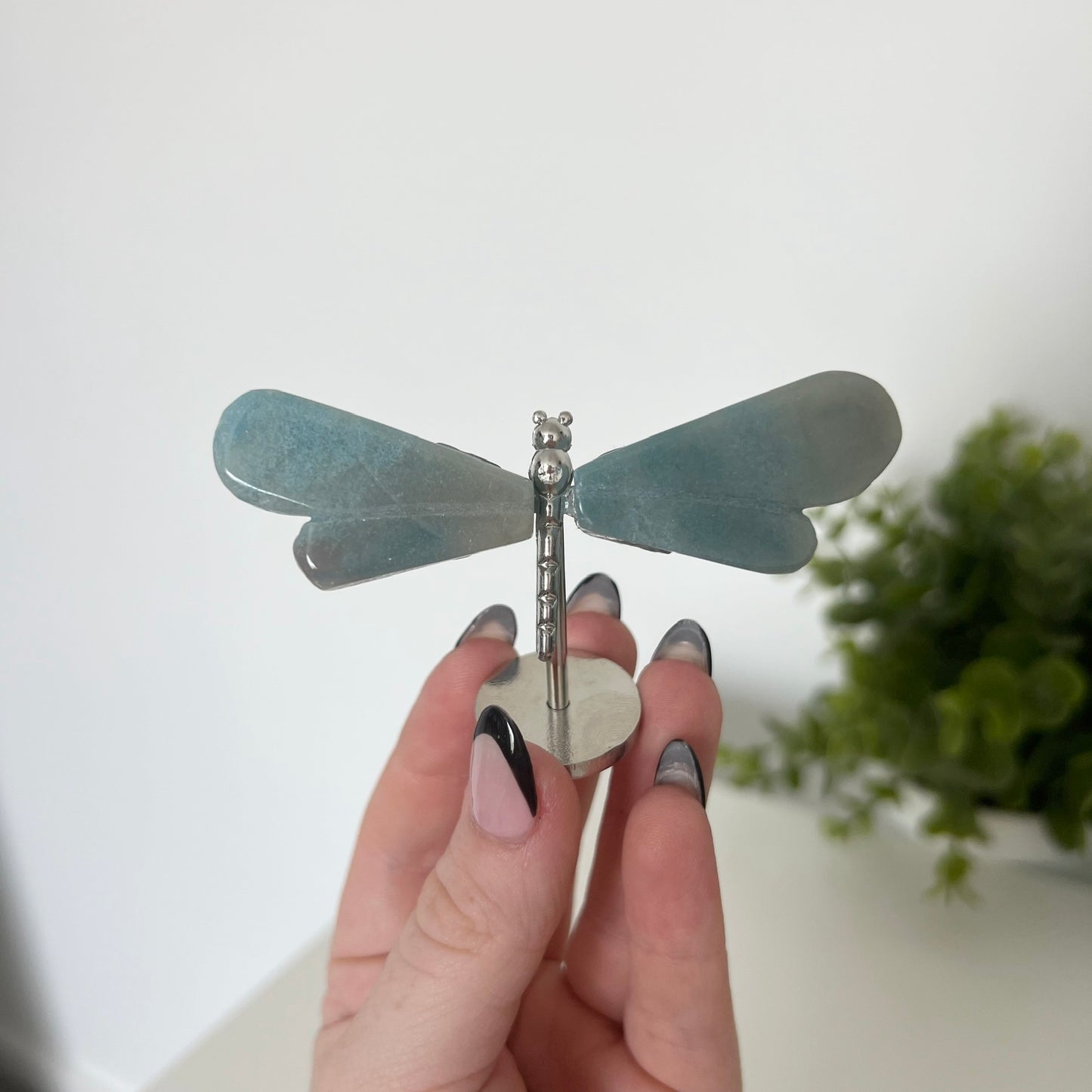 Various Crystal Dragonfly Wings | Small Size Wings