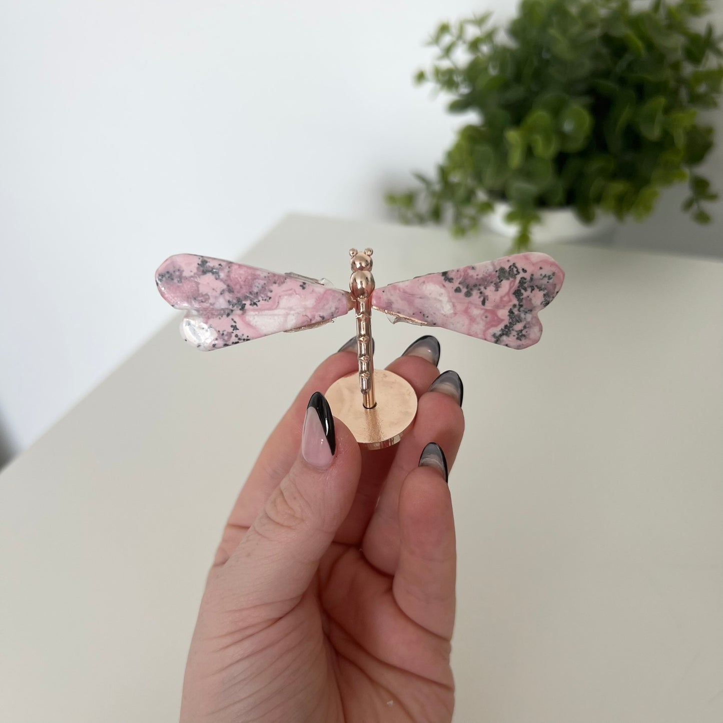 Various Crystal Dragonfly Wings | Small Size Wings