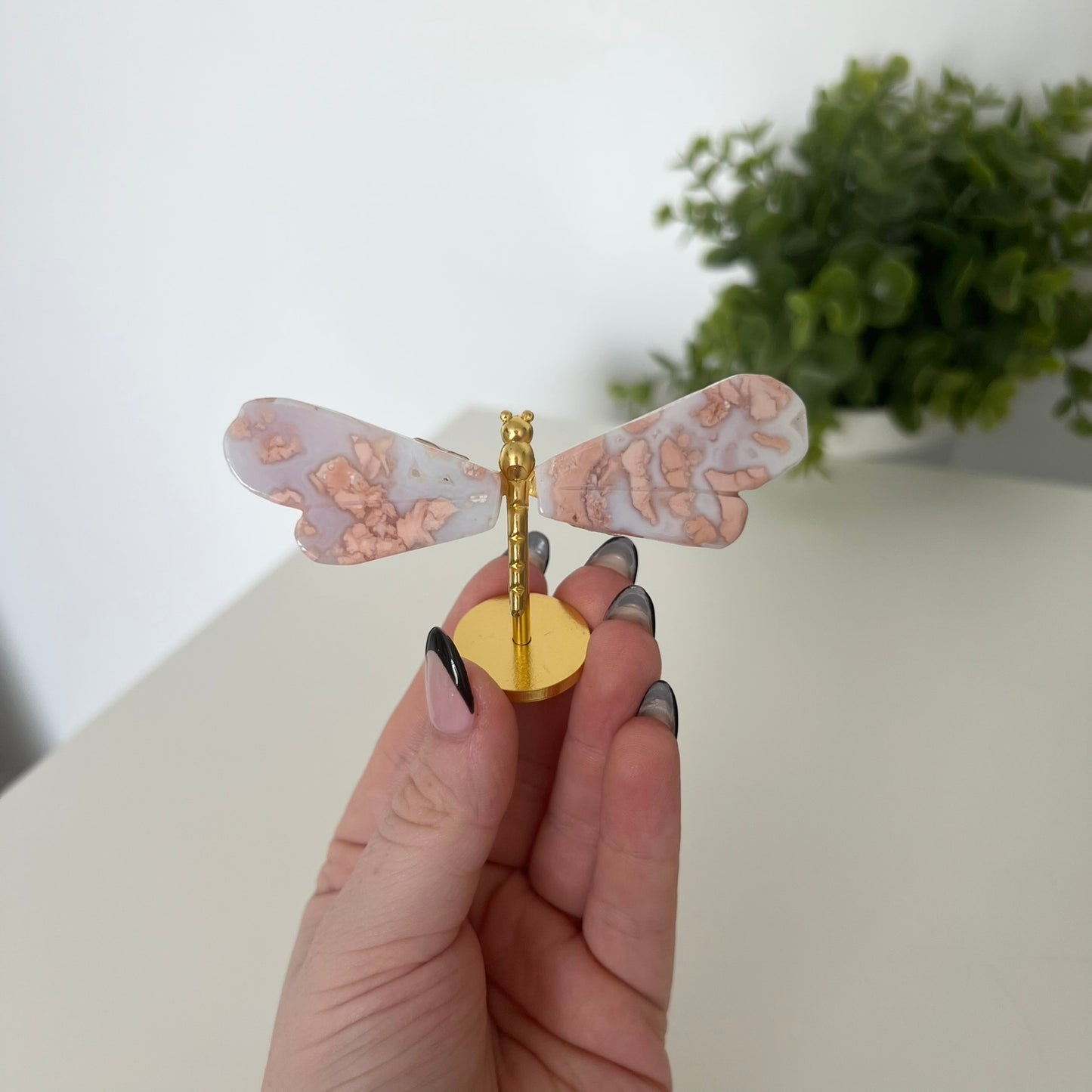 Various Crystal Dragonfly Wings | Small Size Wings