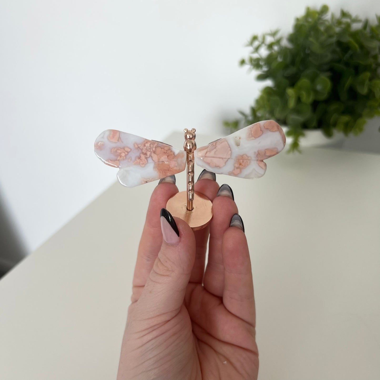 Various Crystal Dragonfly Wings | Small Size Wings