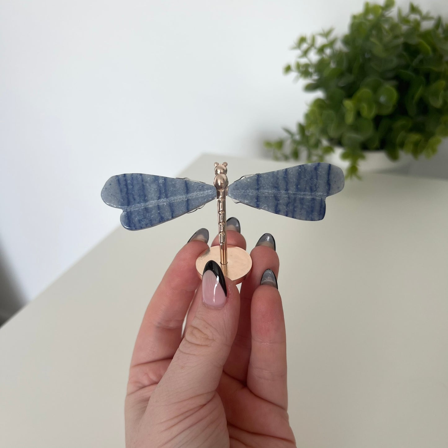 Various Crystal Dragonfly Wings | Small Size Wings