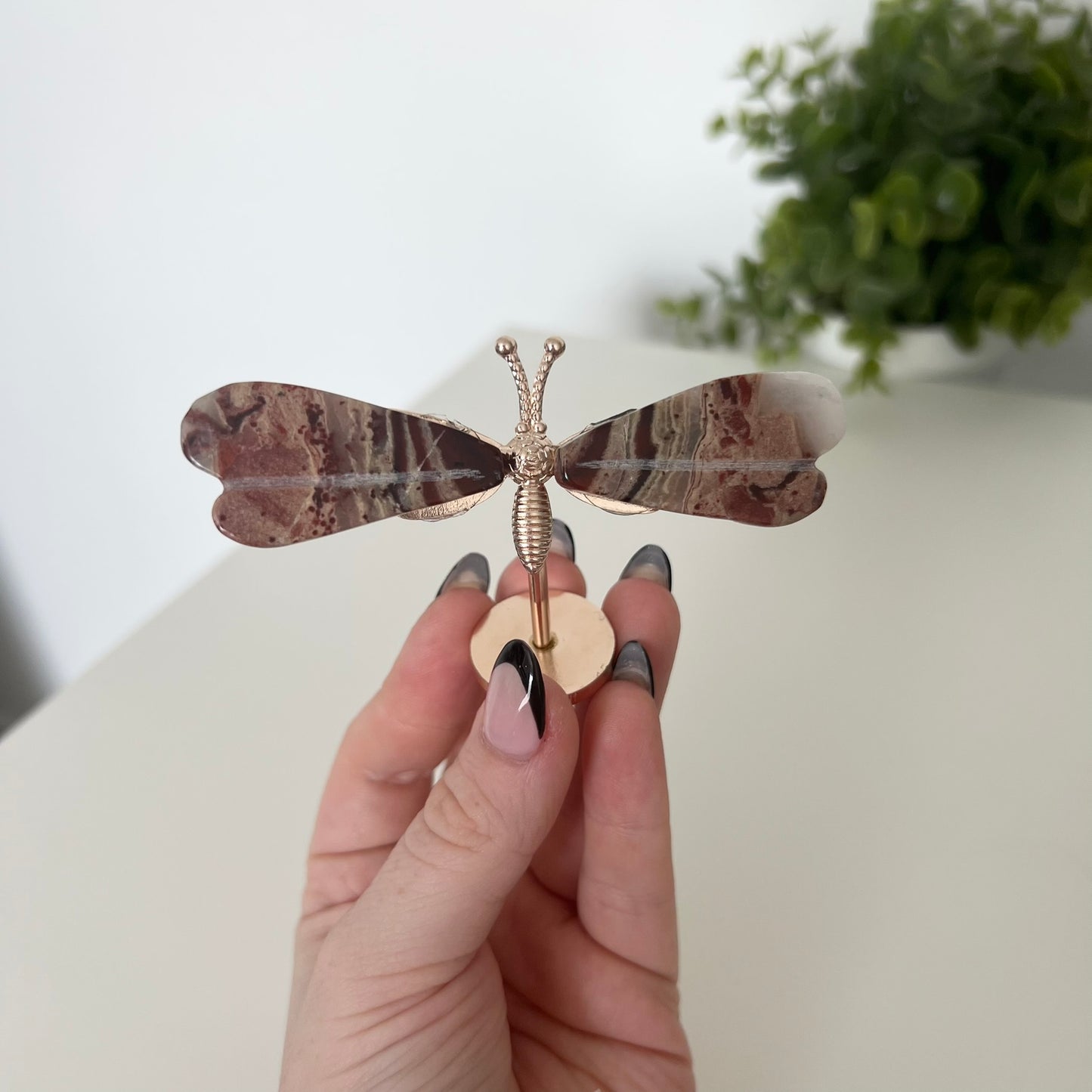 Various Crystal Dragonfly Wings | Small Size Wings