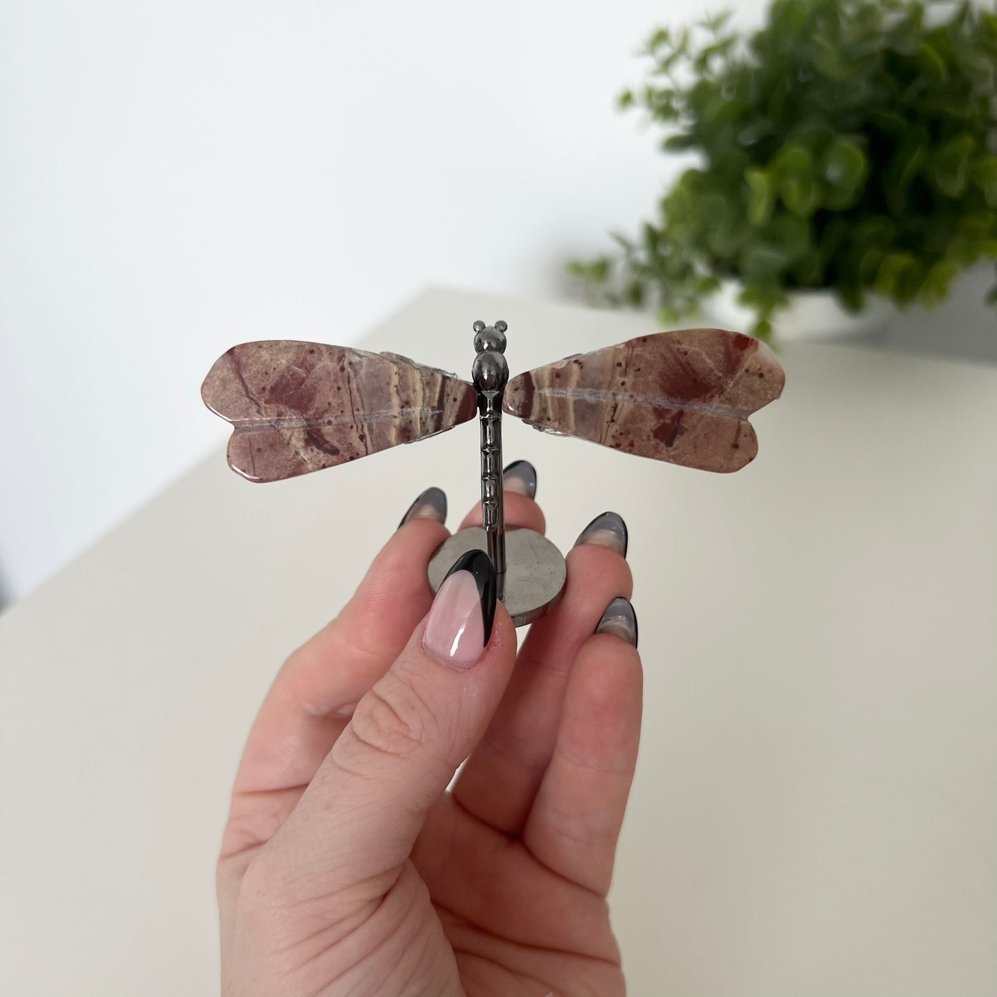 Various Crystal Dragonfly Wings | Small Size Wings