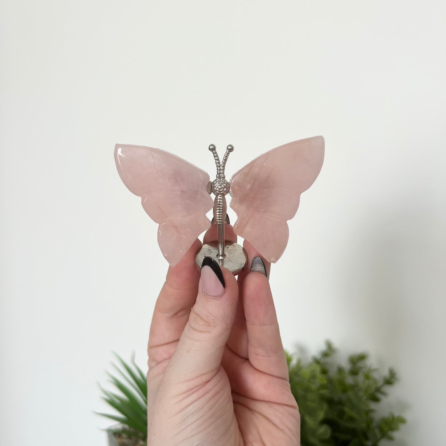 Various Crystal Butterfly Wings | Small Size Wings