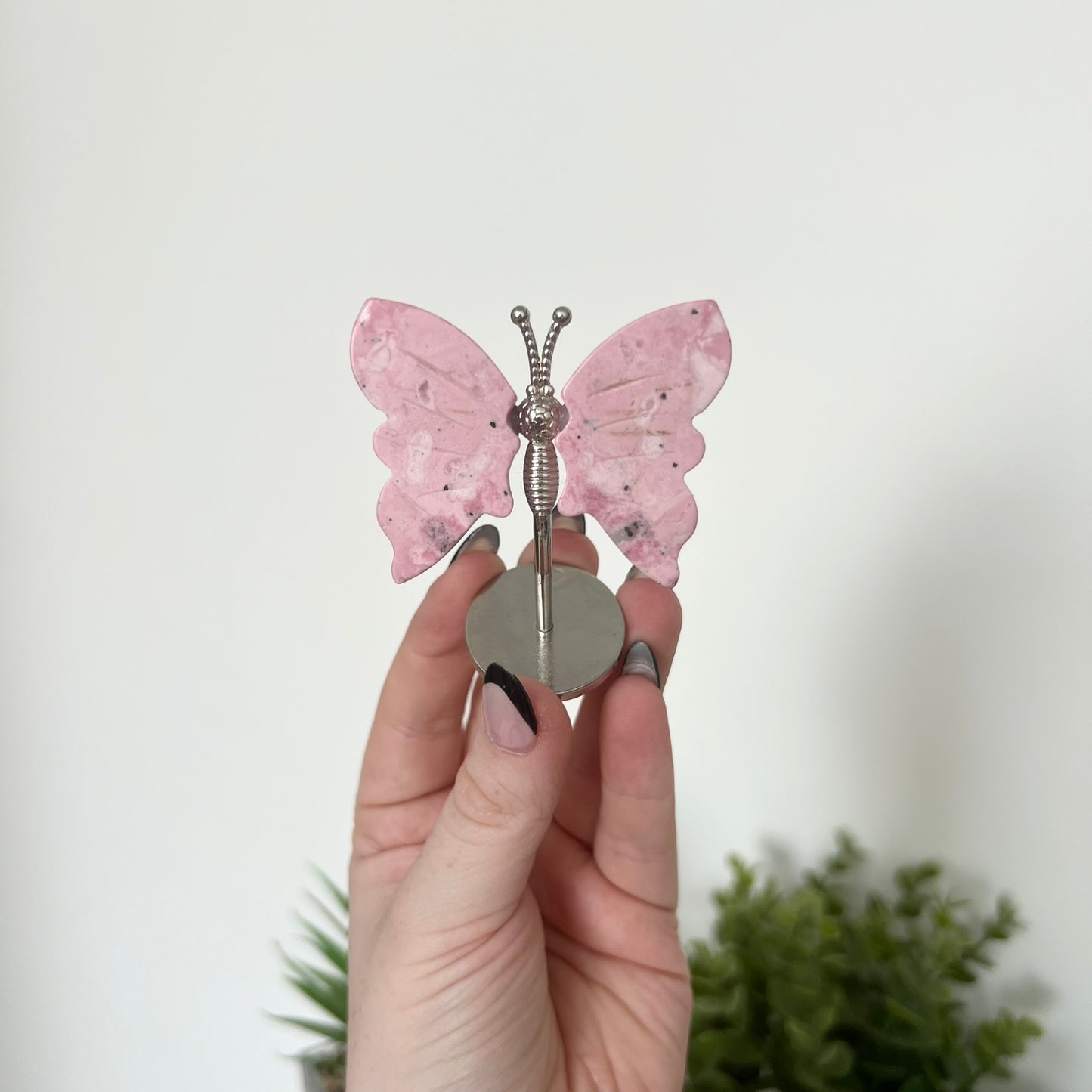 Various Crystal Butterfly Wings | Small Size Wings