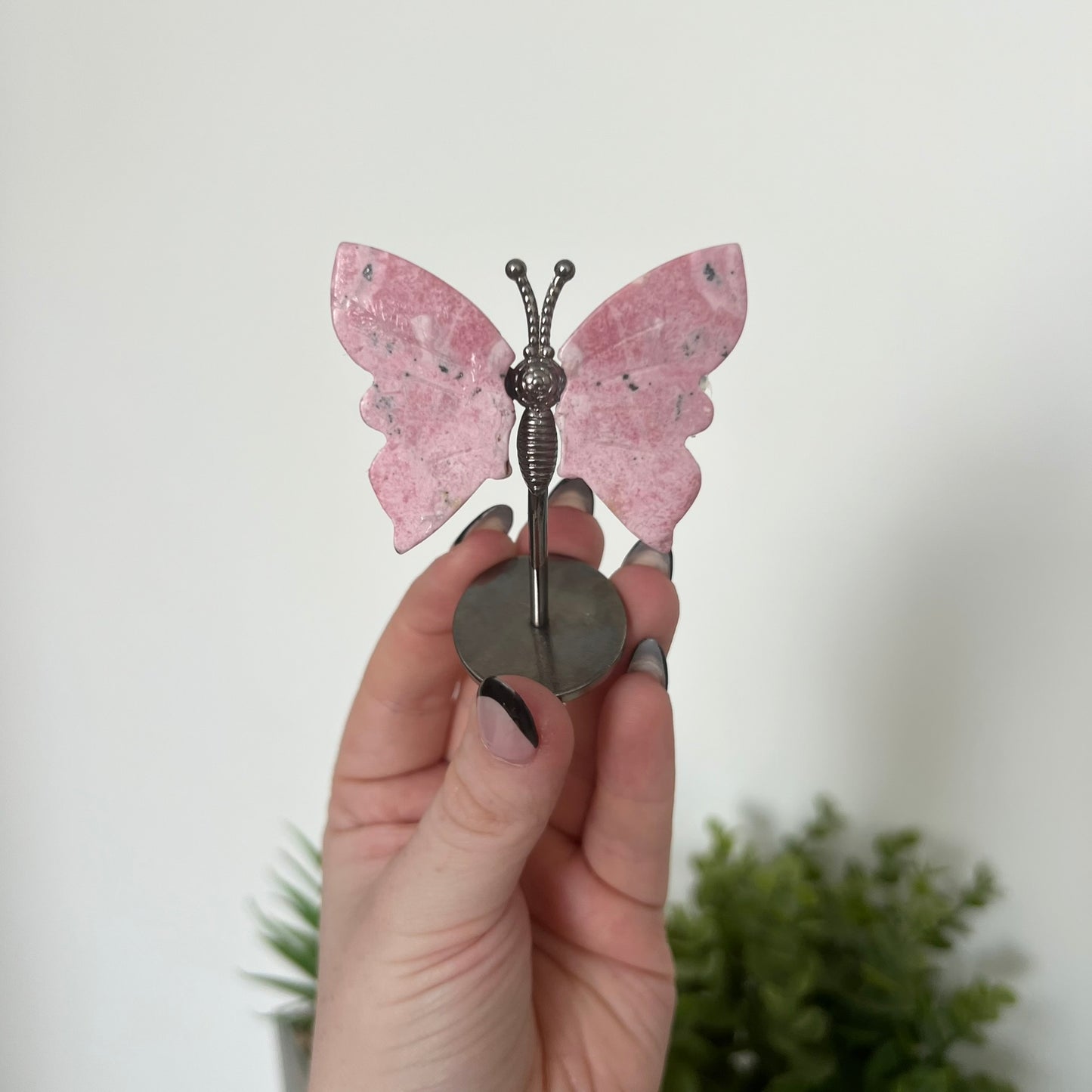 Various Crystal Butterfly Wings | Small Size Wings