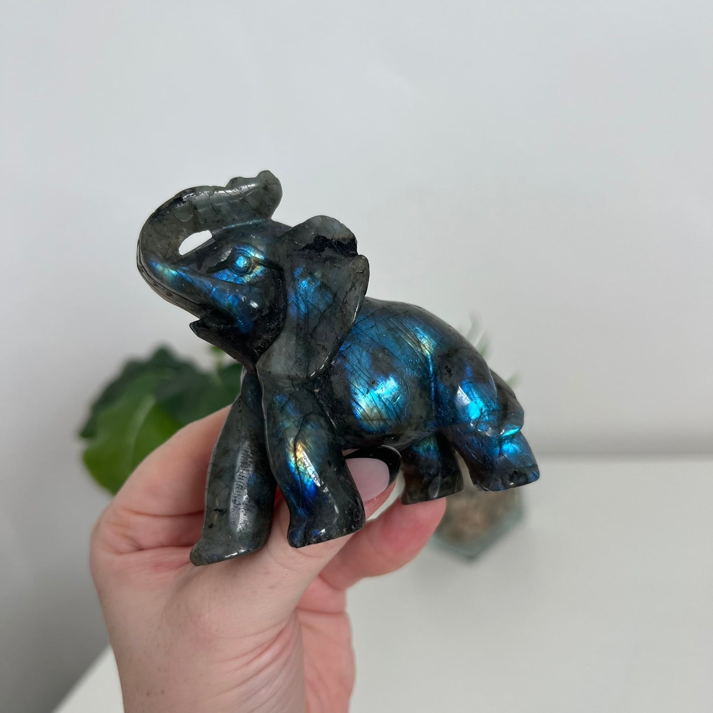 Labradorite Elephant