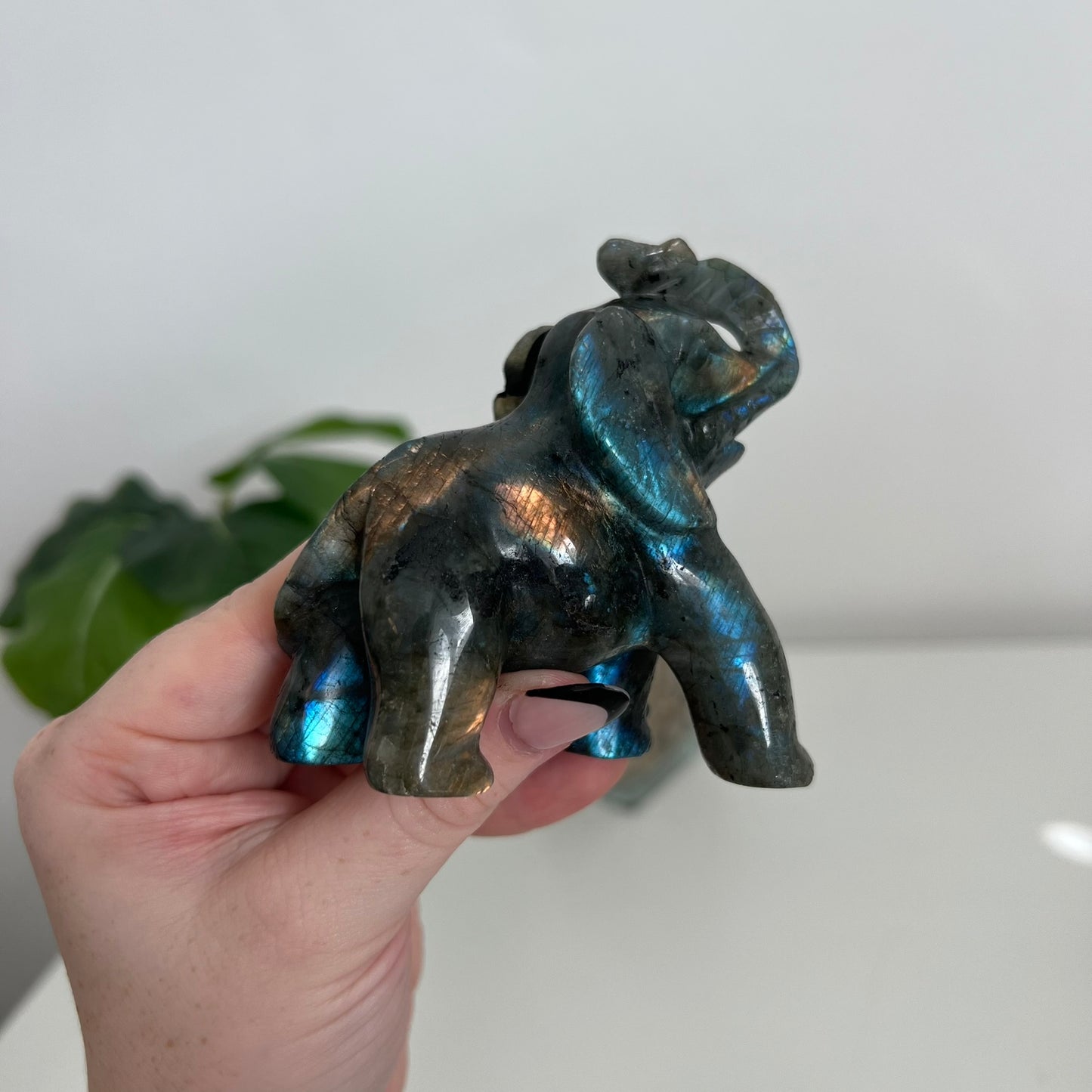 Labradorite Elephant
