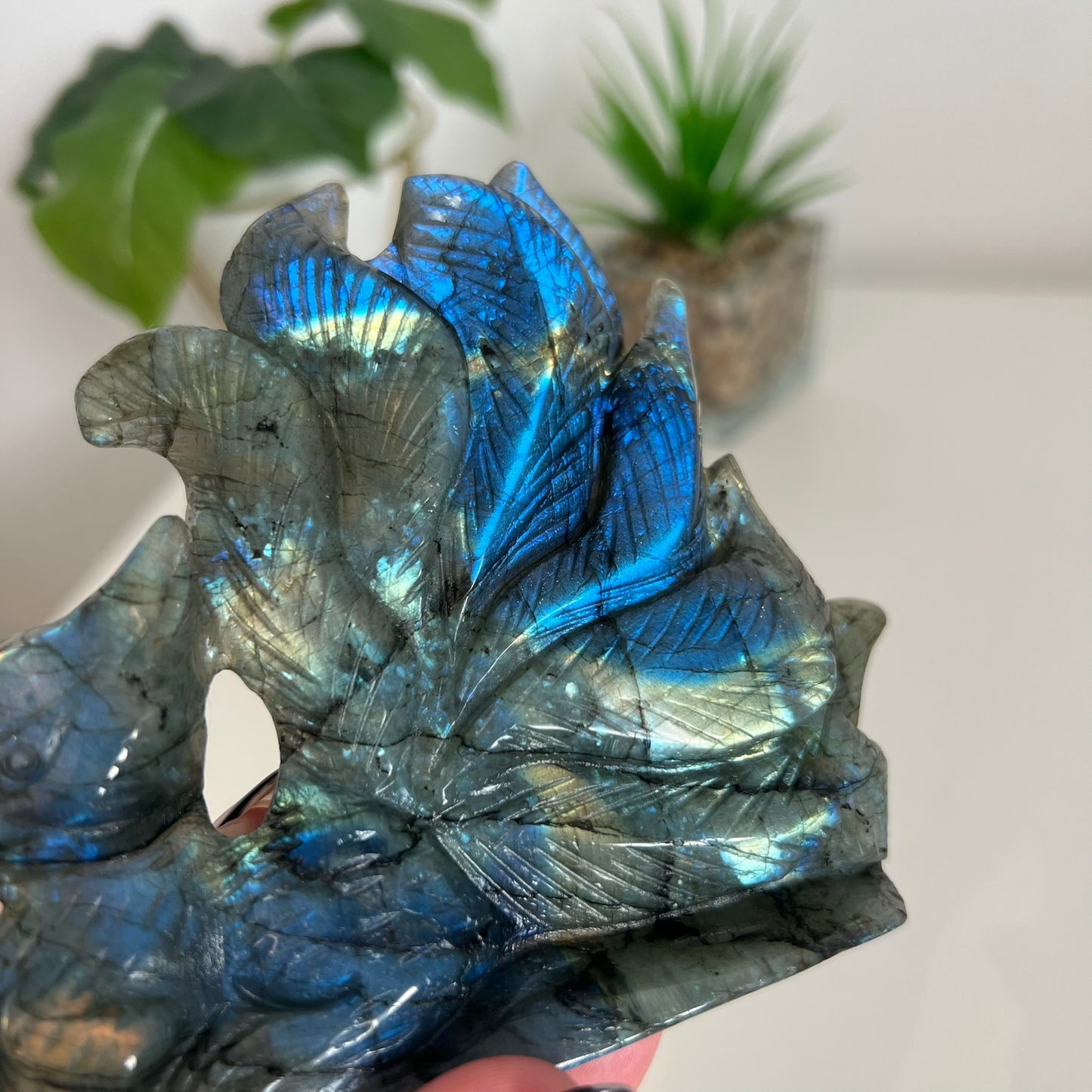 Labradorite 9 Tail Fox