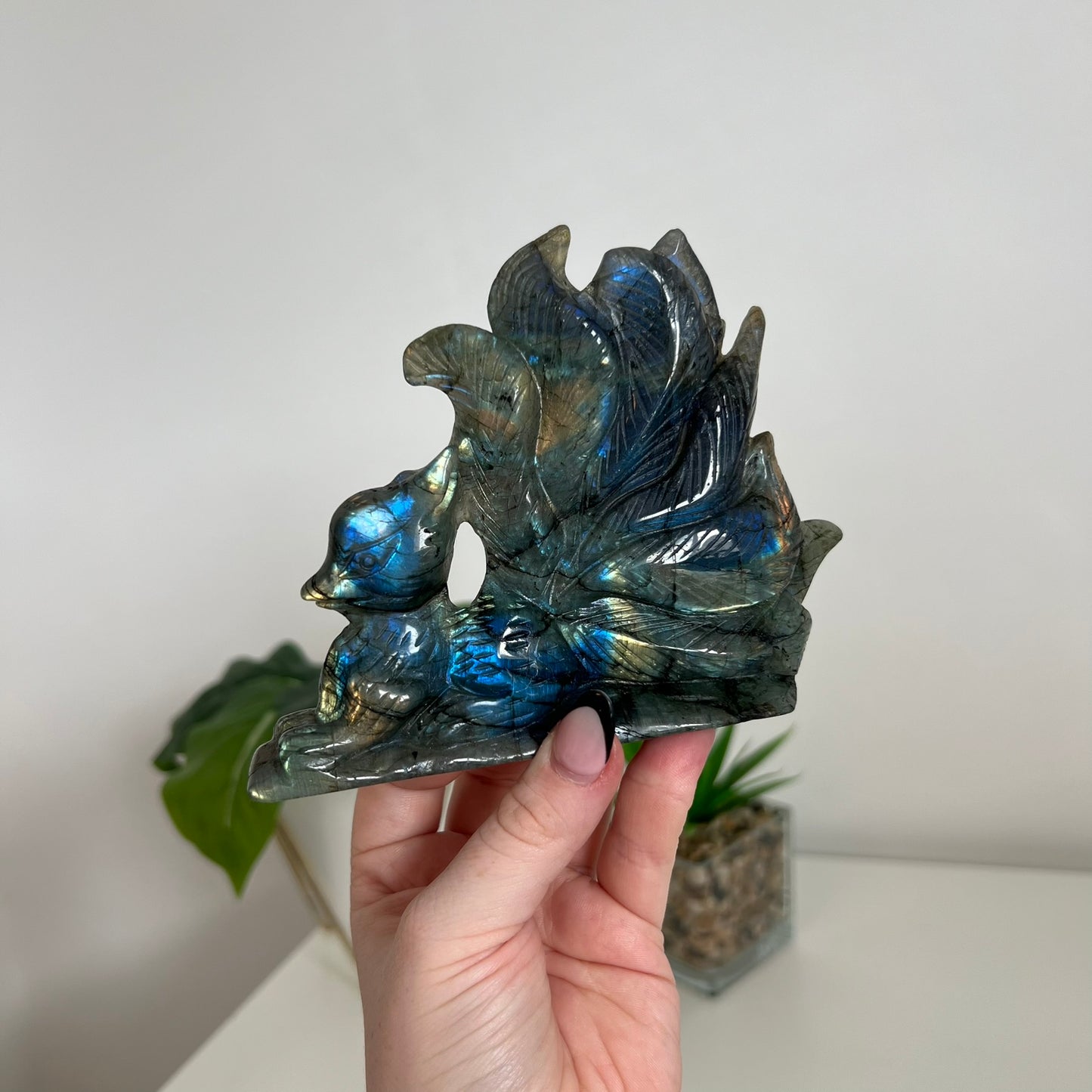 Labradorite 9 Tail Fox