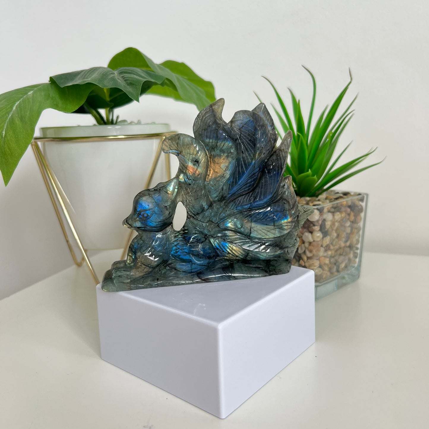 Labradorite 9 Tail Fox