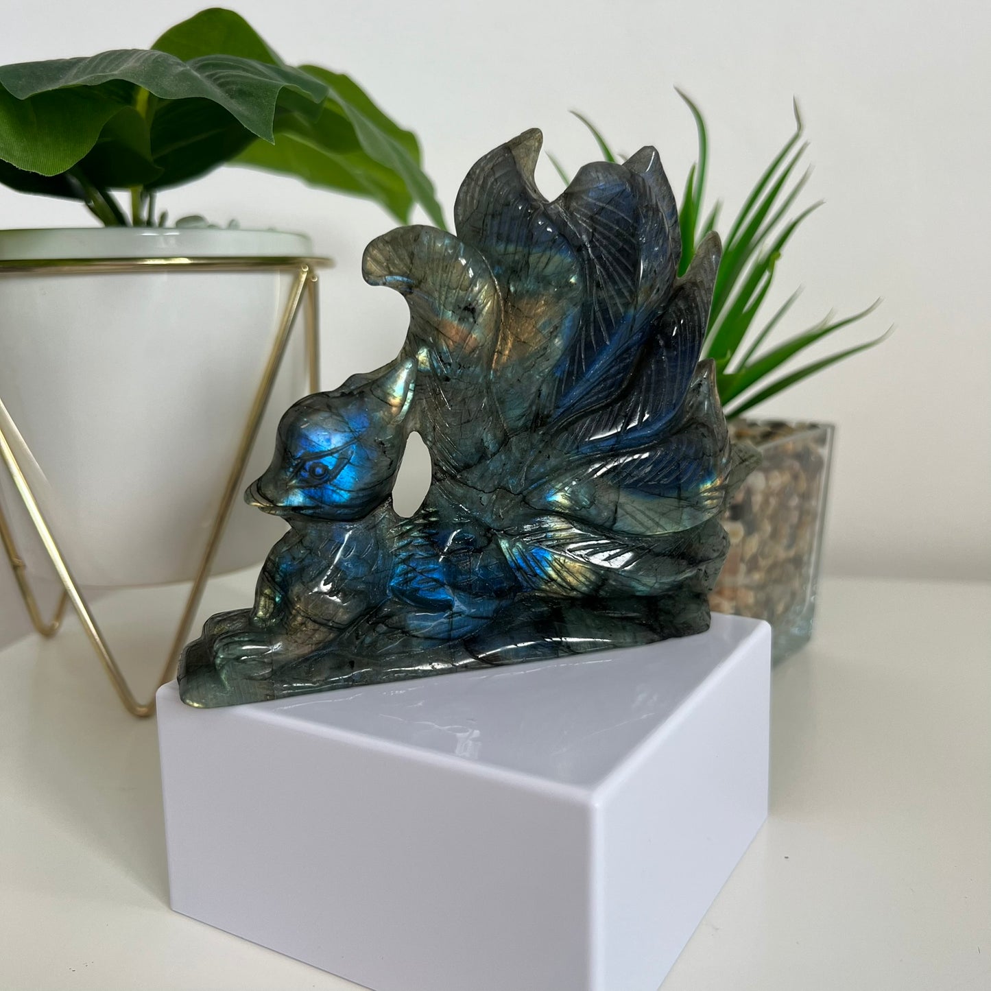 Labradorite 9 Tail Fox