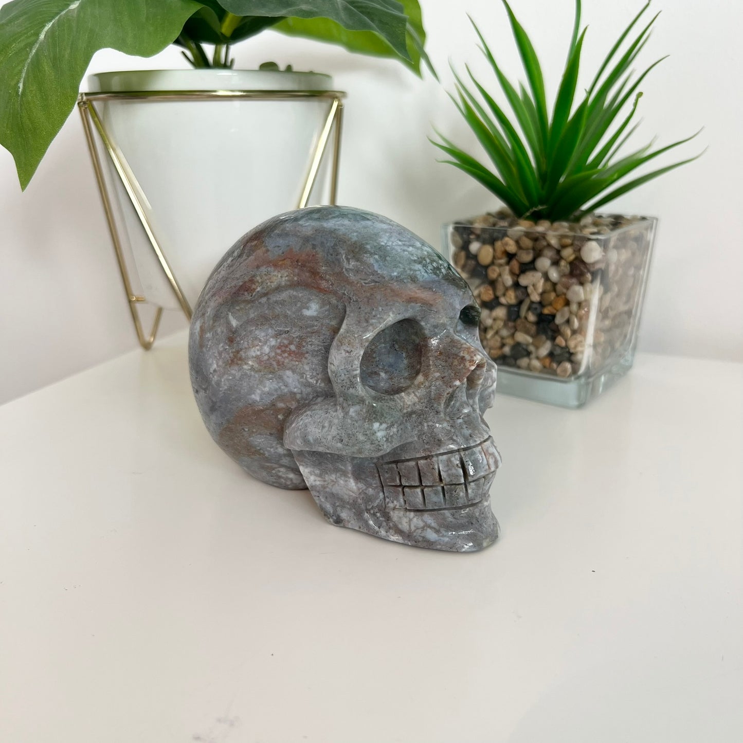 Ocean Japer Large Skull
