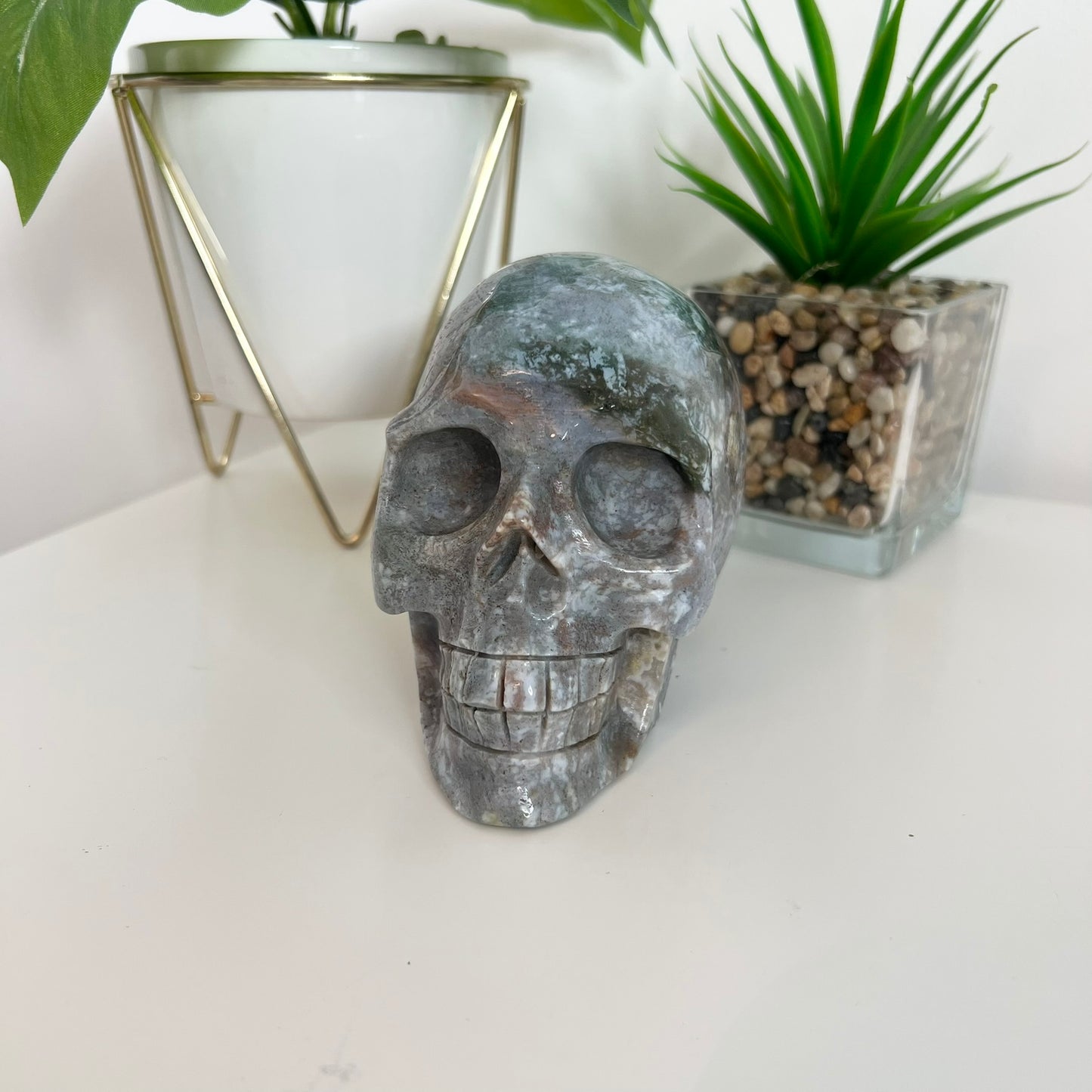 Ocean Japer Large Skull