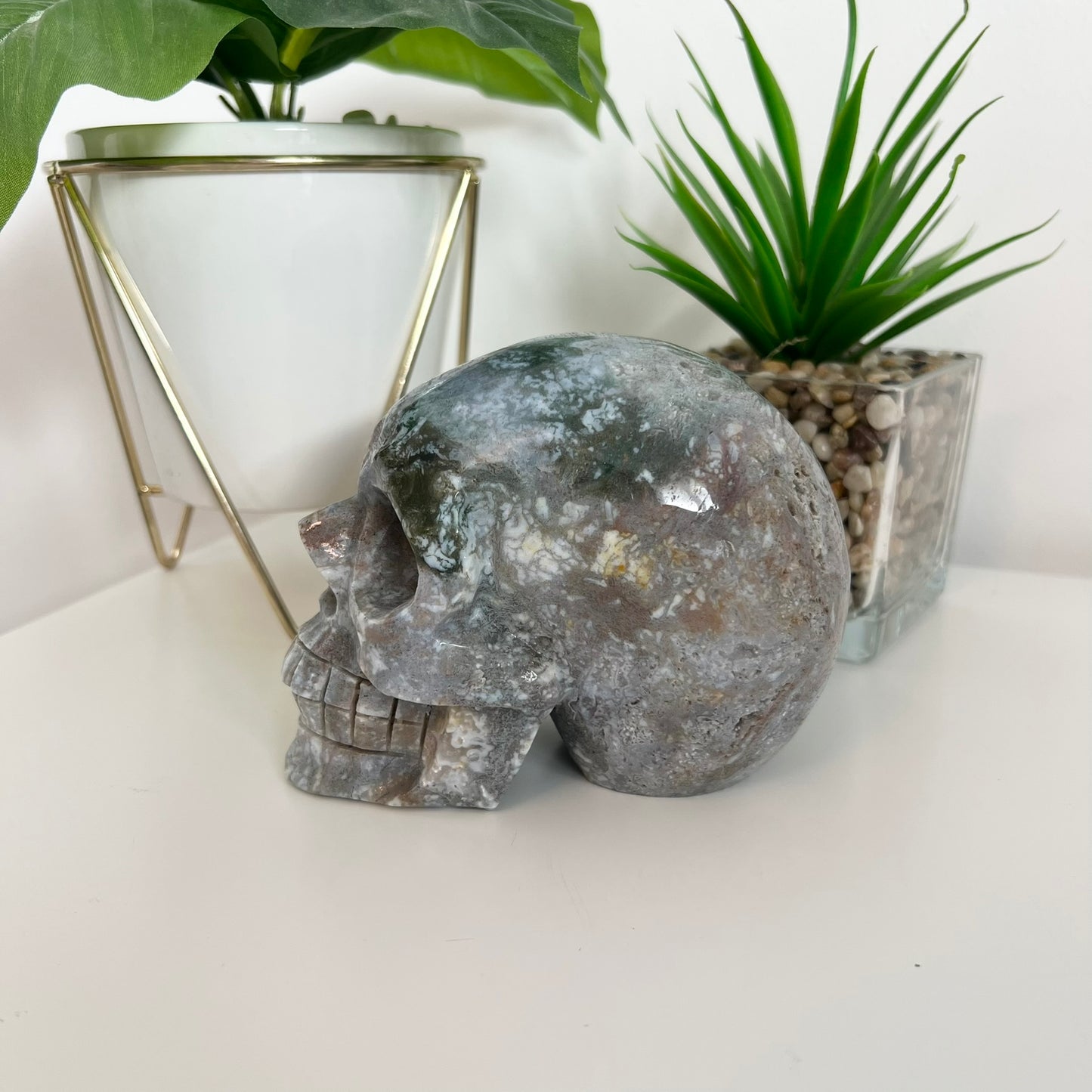 Ocean Japer Large Skull