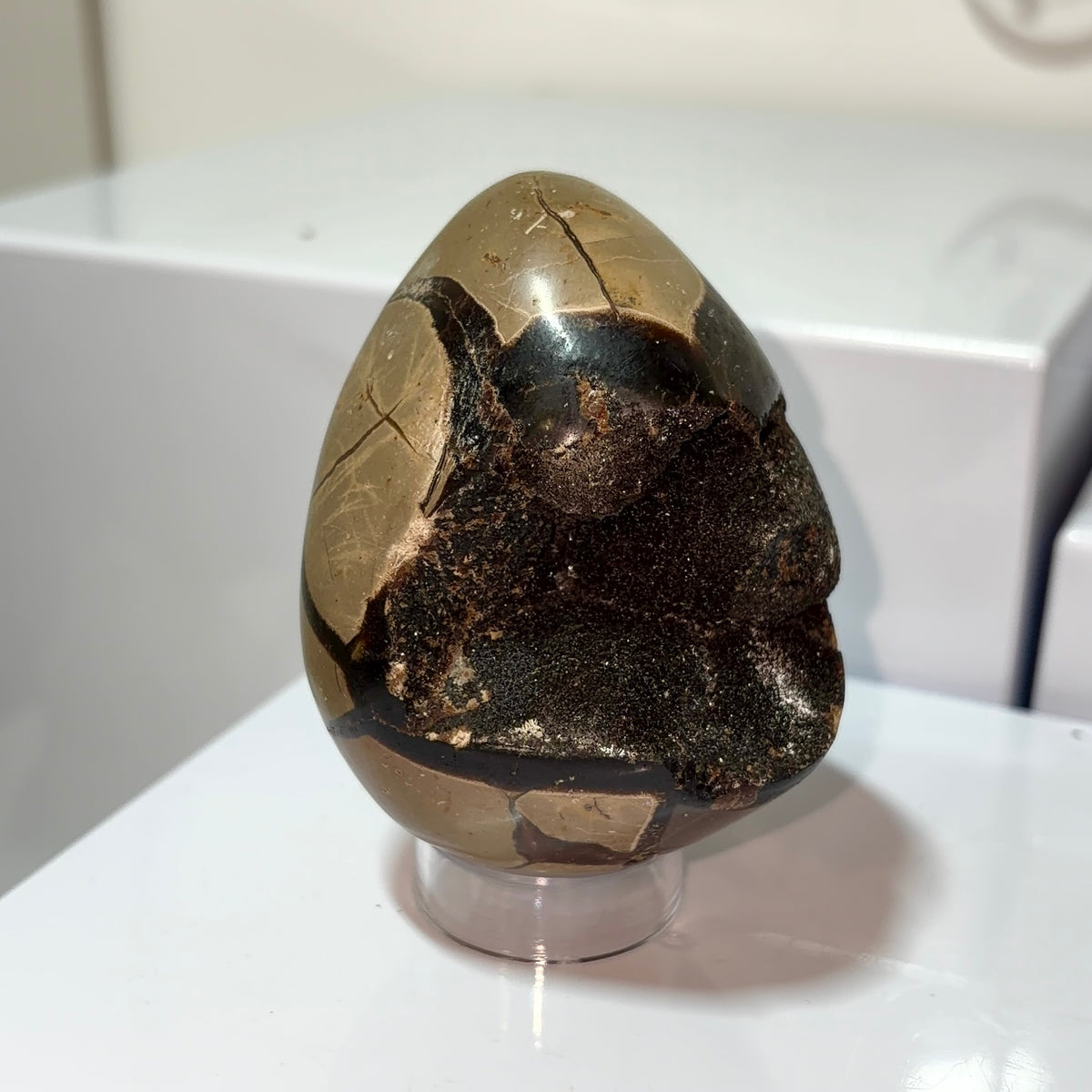 Septarian Egg