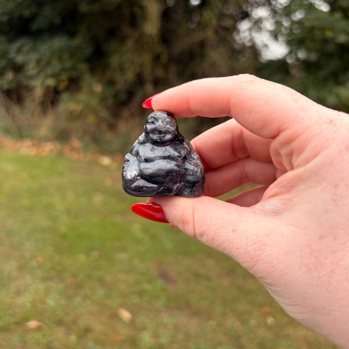 Laughing Buddha Crystal Carvings – Choose Your Own