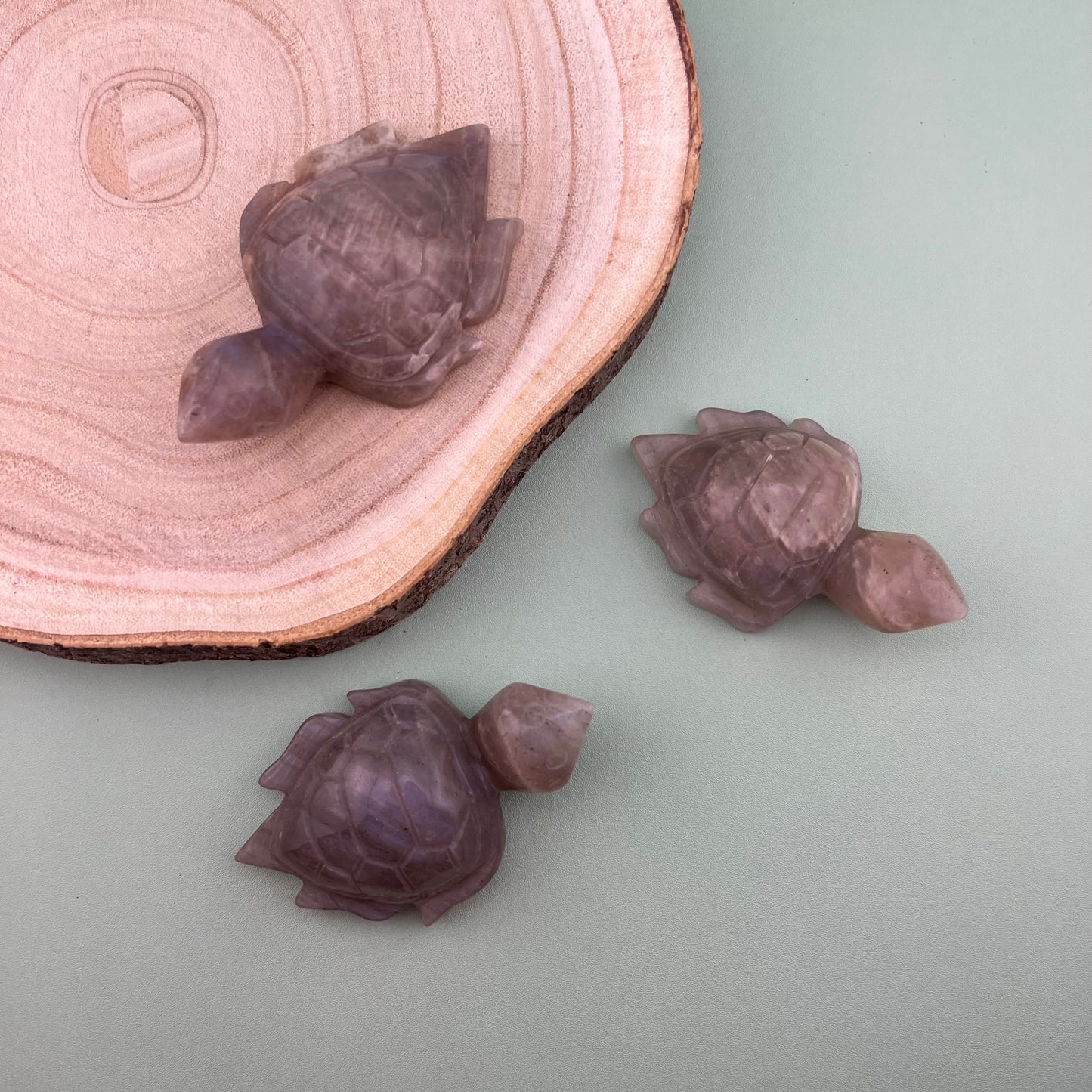 Moonstone Turtles