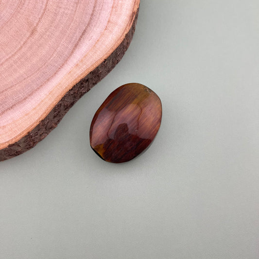 Tigers Eye Palm