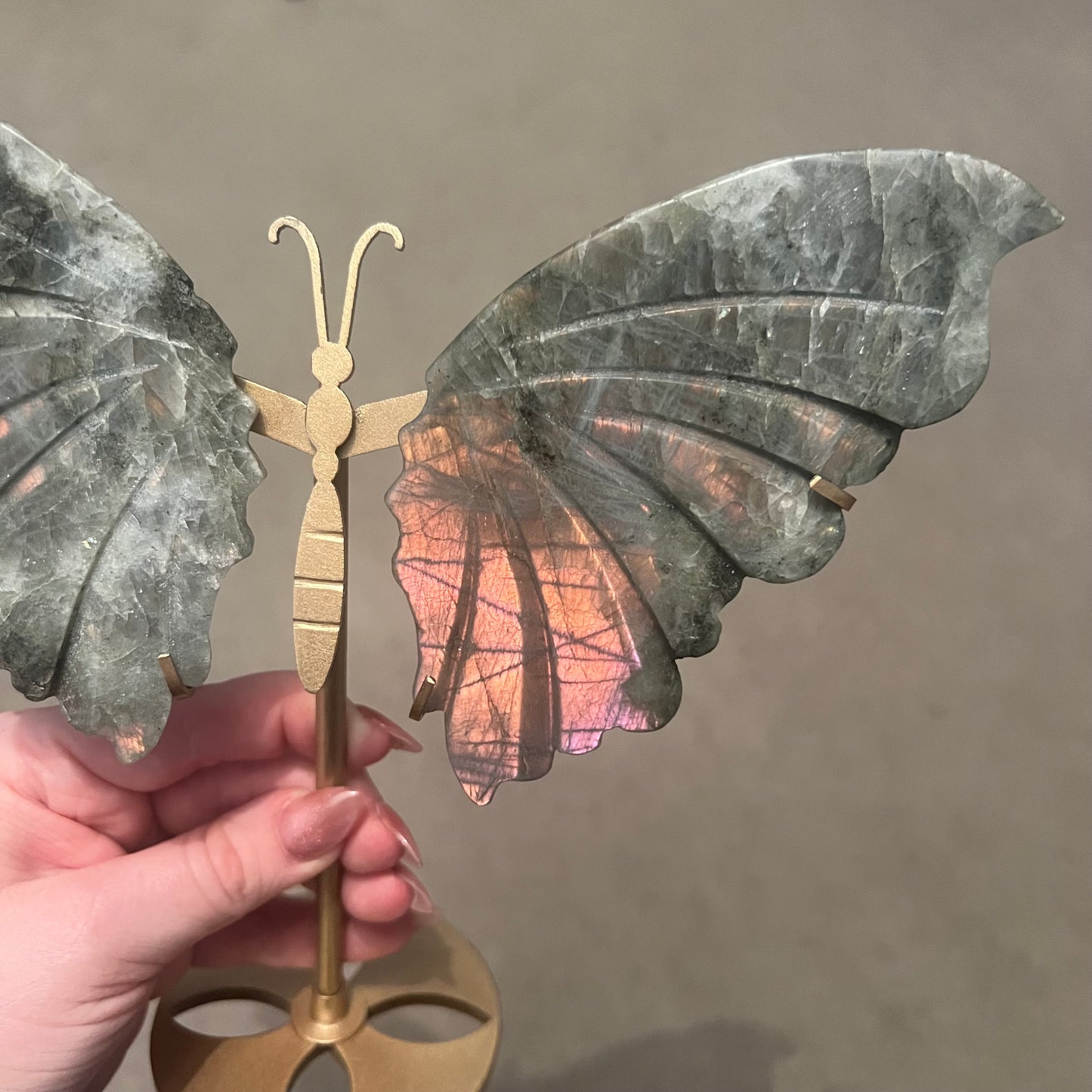 Labradorite Butterfly Wings A