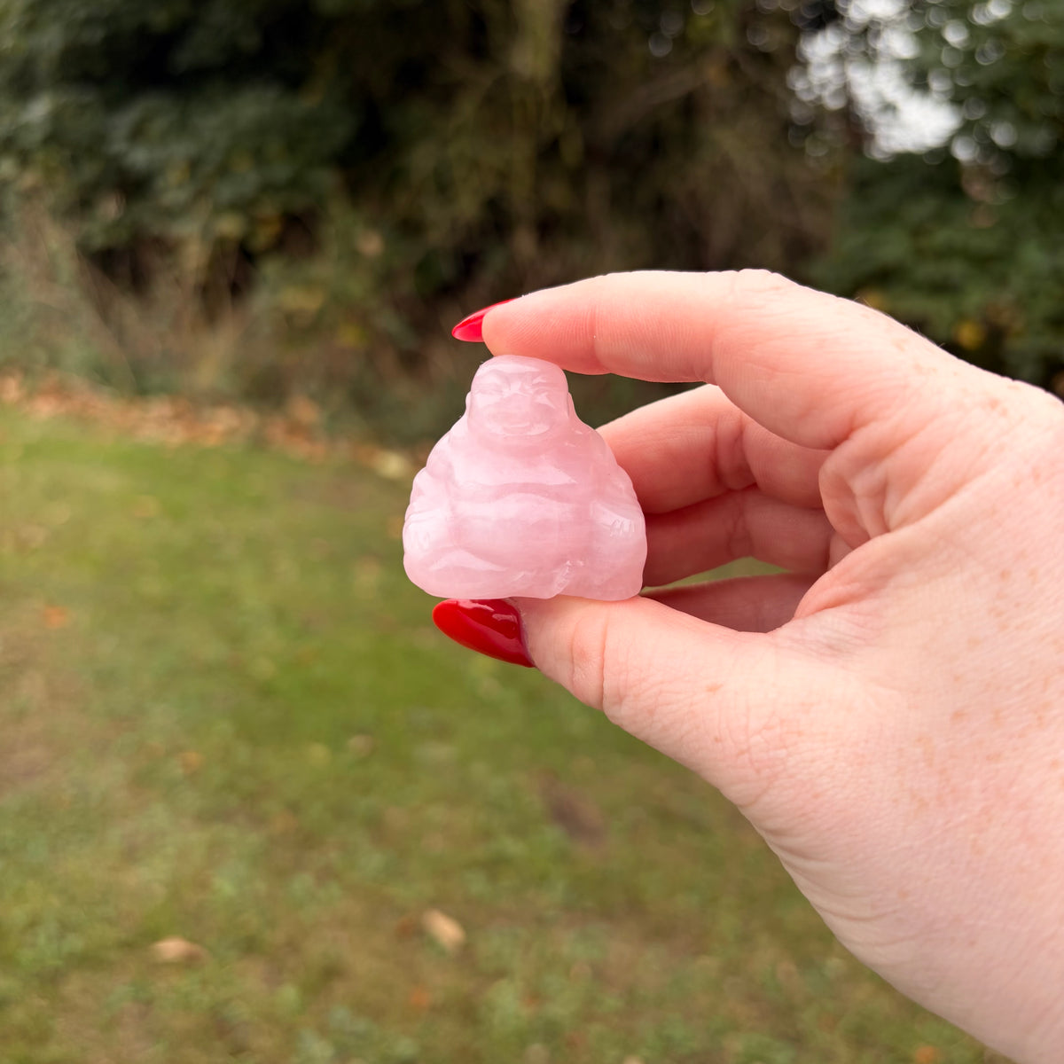Laughing Buddha Crystal Carvings – Choose Your Own