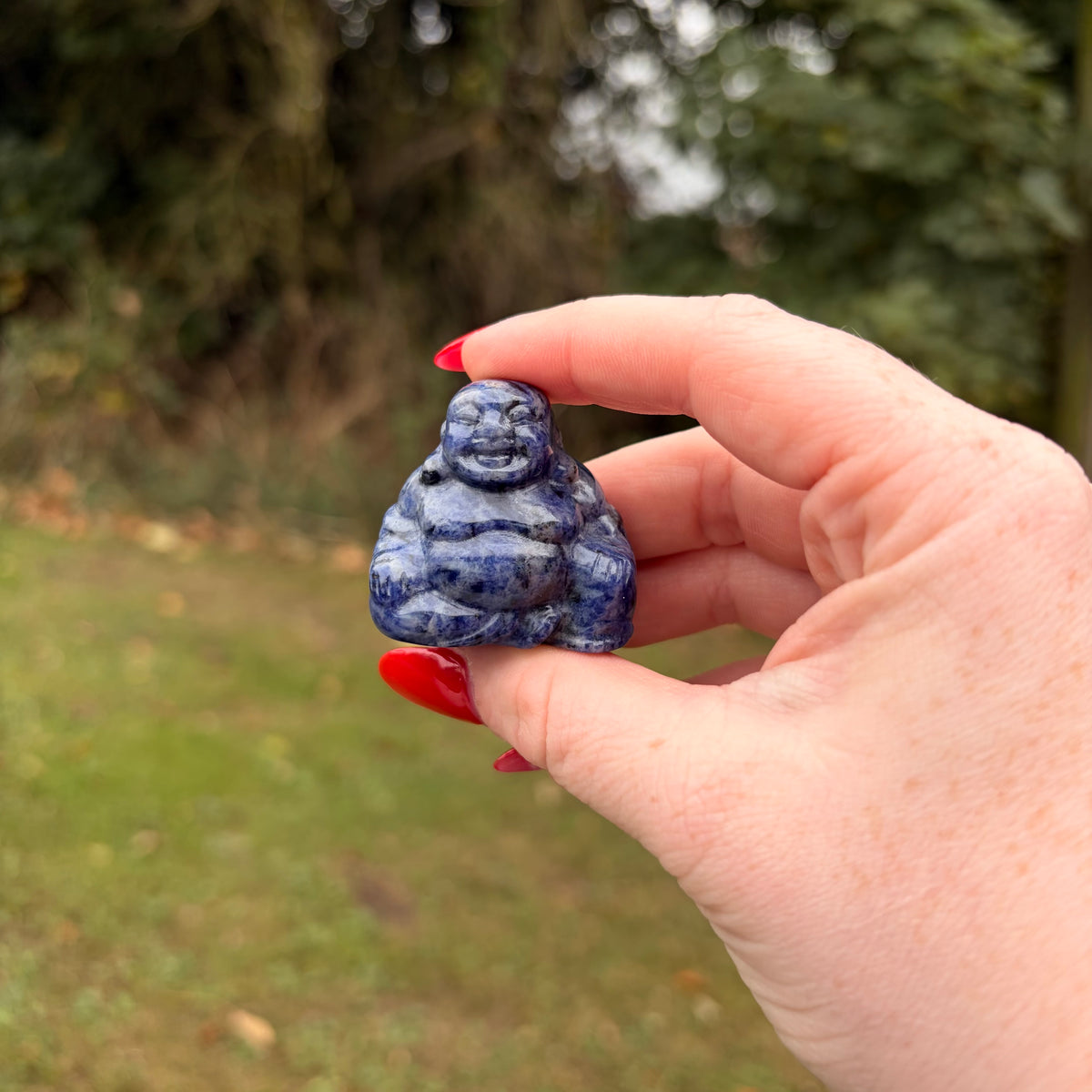 Laughing Buddha Crystal Carvings – Choose Your Own