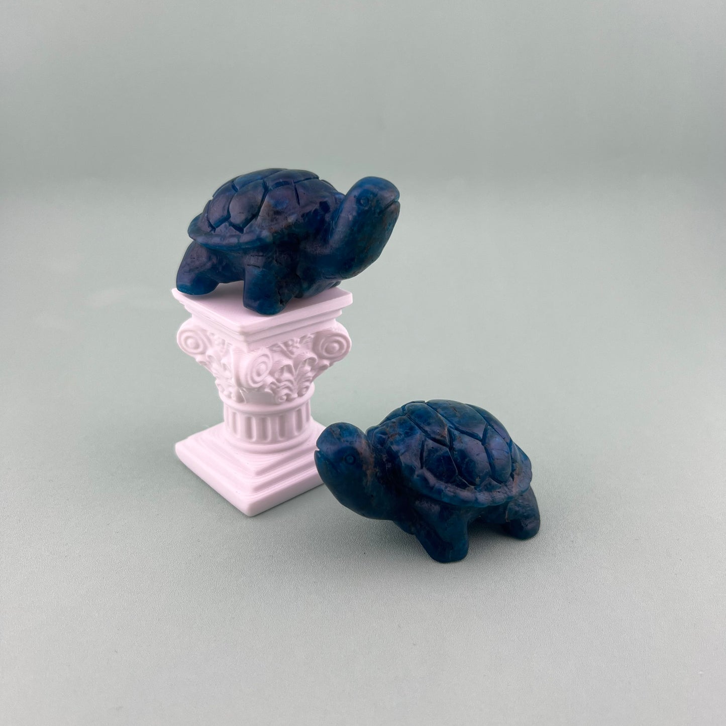 Blue Apatite Turtles