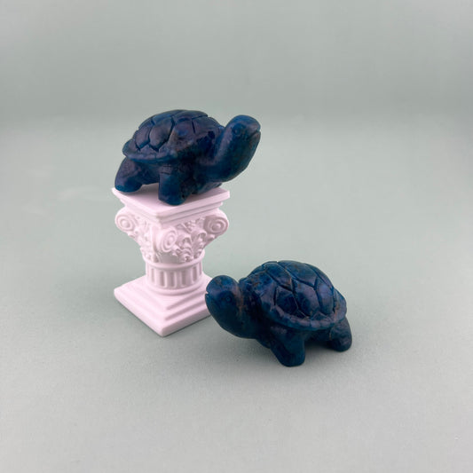 Blue Apatite Turtles