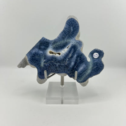 Blue Coral Slabs from PureZen Minerals, view 3