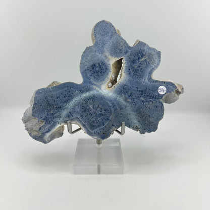 Blue Coral Slabs from PureZen Minerals, view 2