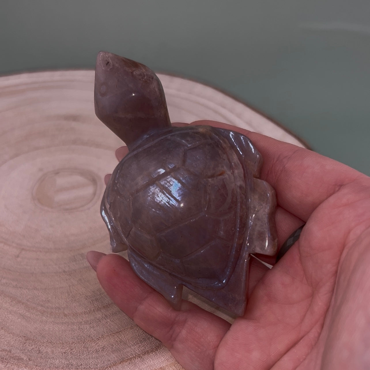 Moonstone Turtles