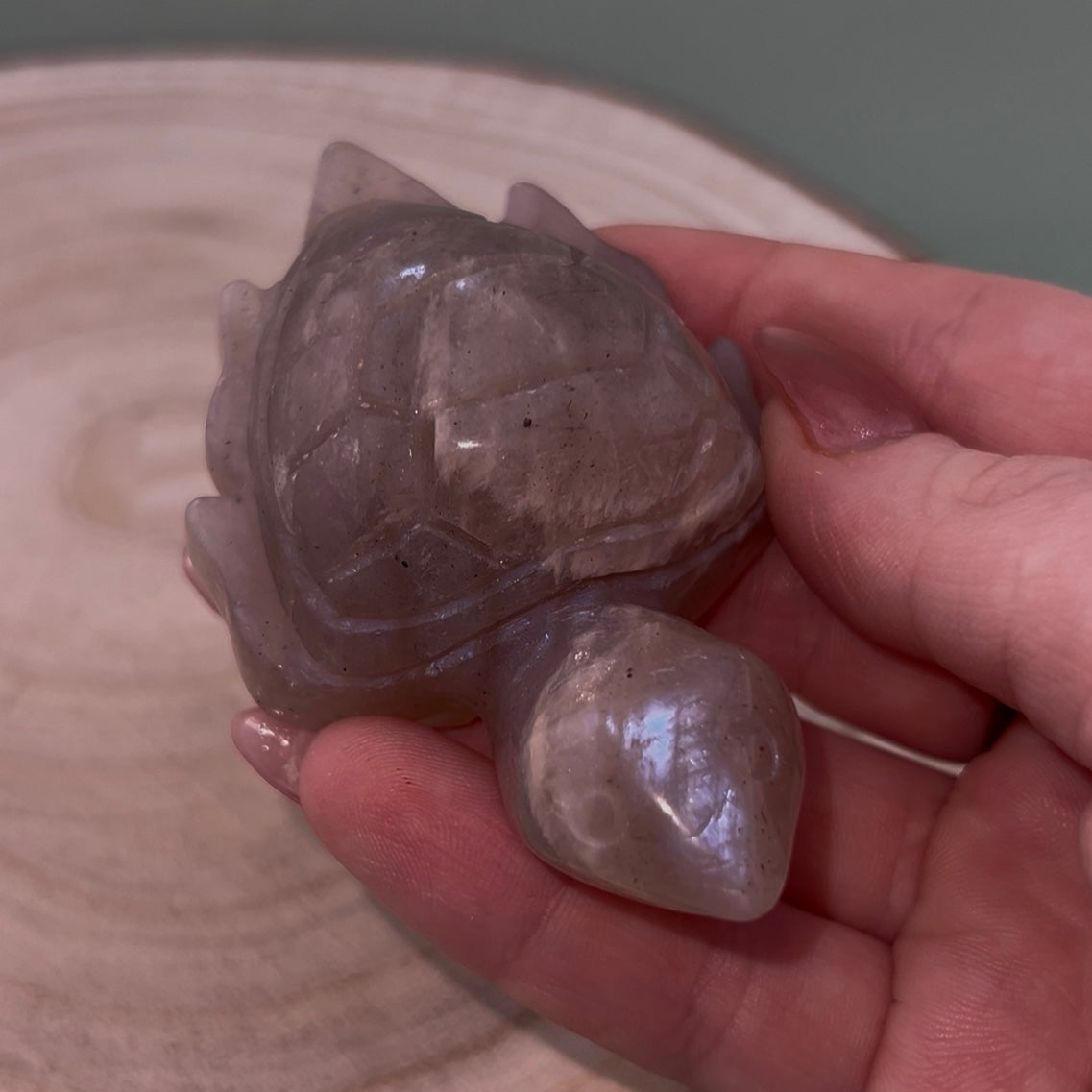 Moonstone Turtles