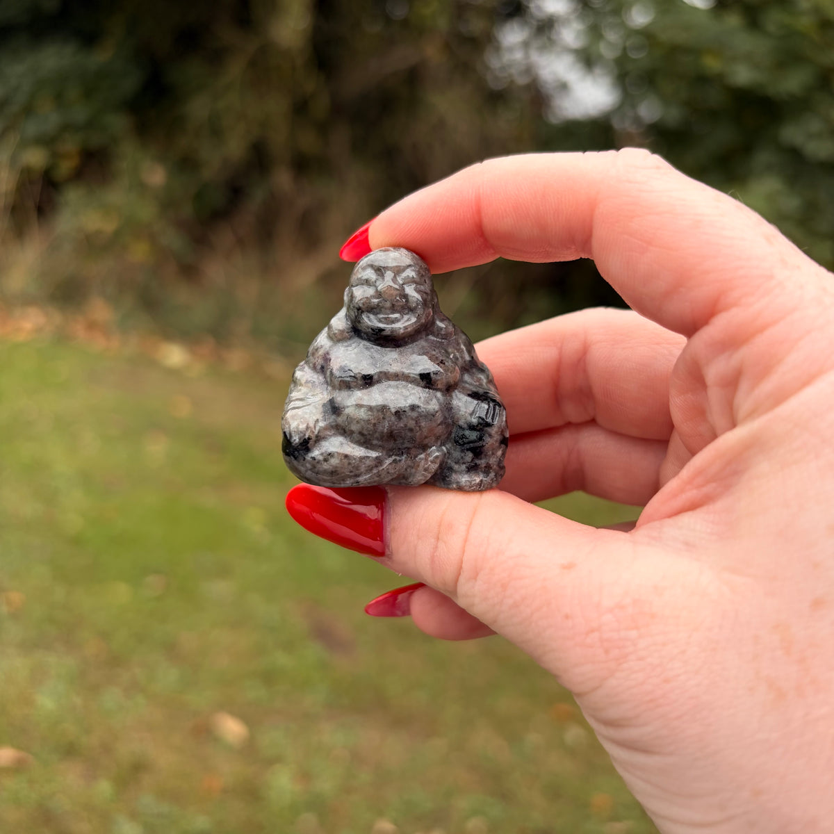 Laughing Buddha Crystal Carvings – Choose Your Own